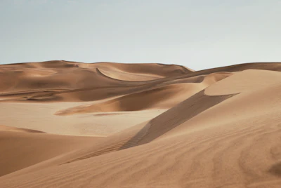 The Khongor sand dunes of the Gobi under a clear sky