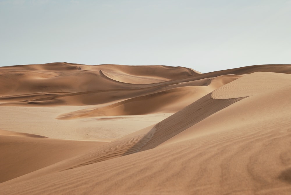 Wüste unter strahlend blauem Himmel während des Tages
