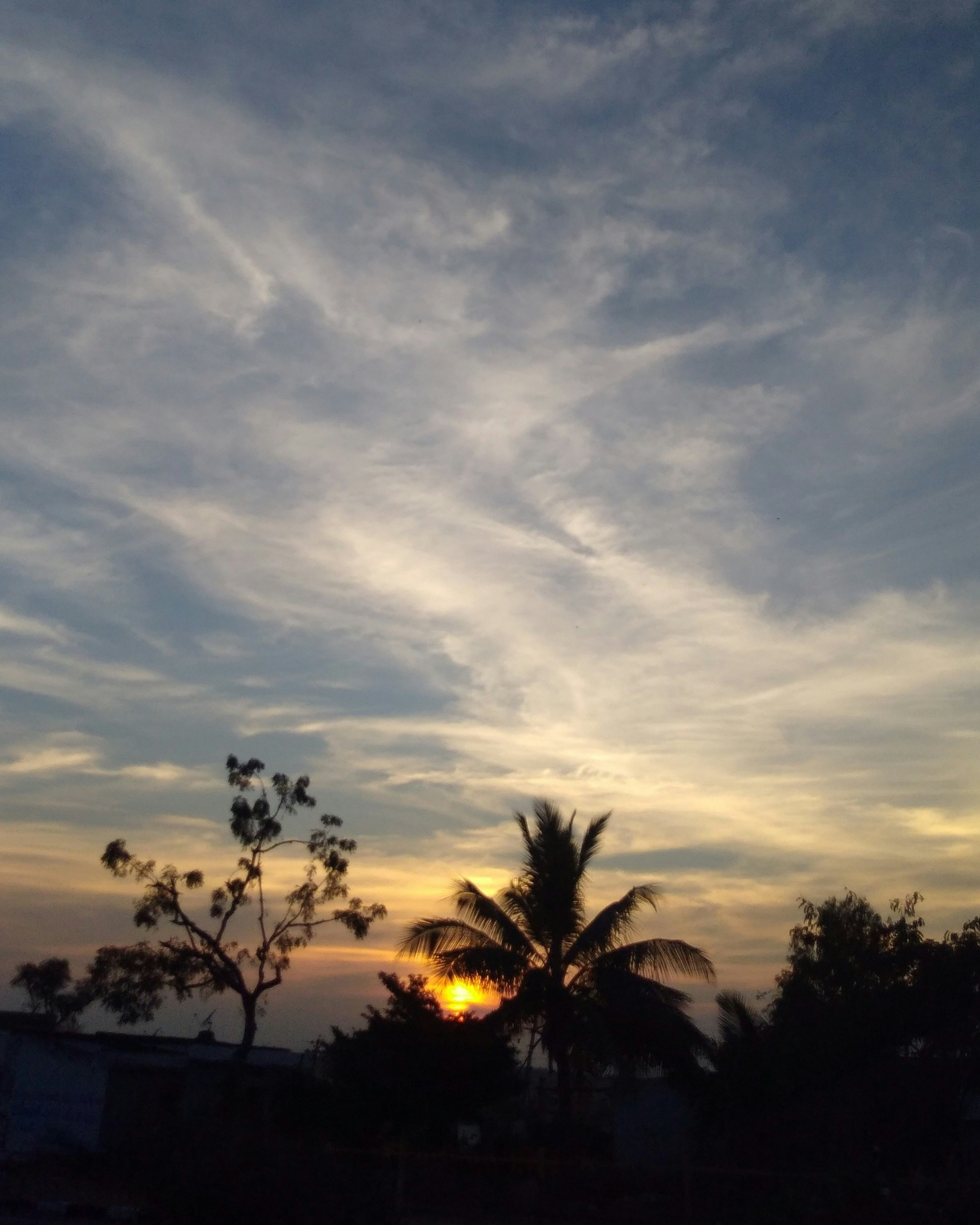 Free Unsplash photo from Sai Vivek Amirishetty