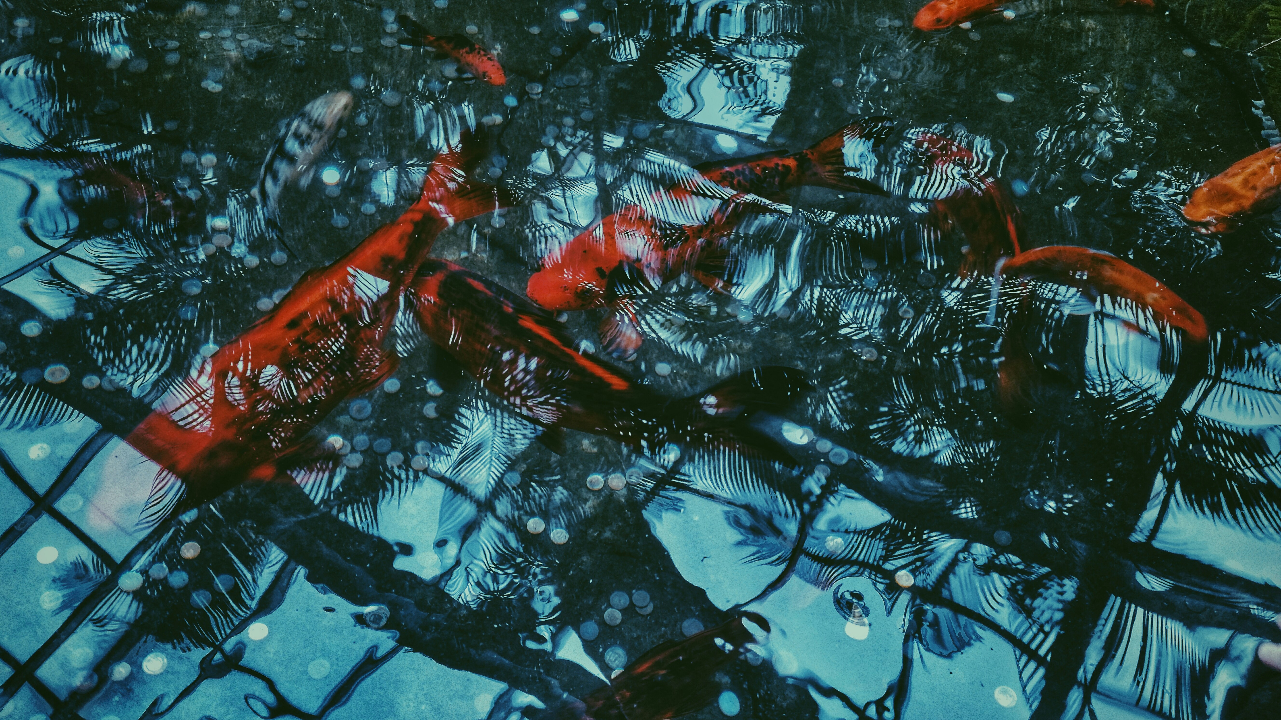 photo-1488198107225-7897cb48a0f0?ixid=M3wxMjA3fDB8MXxzZWFyY2h8MTB8fEJsb29kJTIwT3h5Z2VufGVufDB8fHx8MTc1NDU3MzI4MHww%5Cu0026ixlib=rb-4.1.0