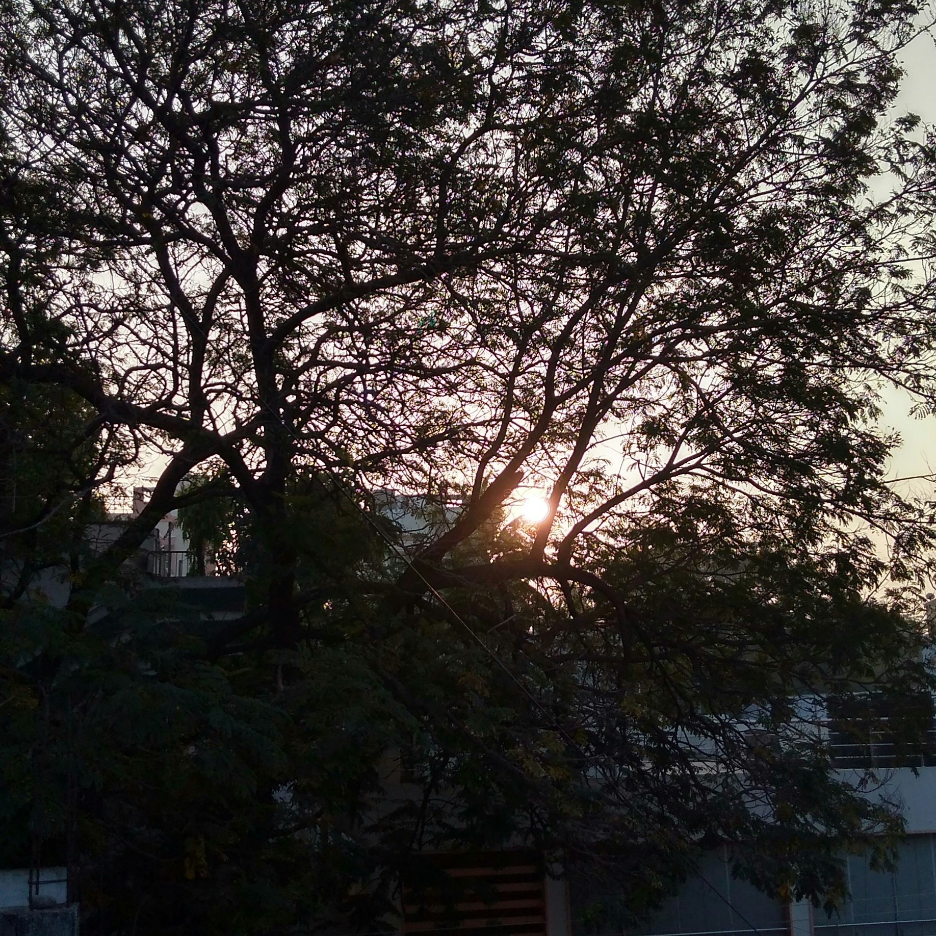 Free Unsplash photo from Sai Vivek Amirishetty