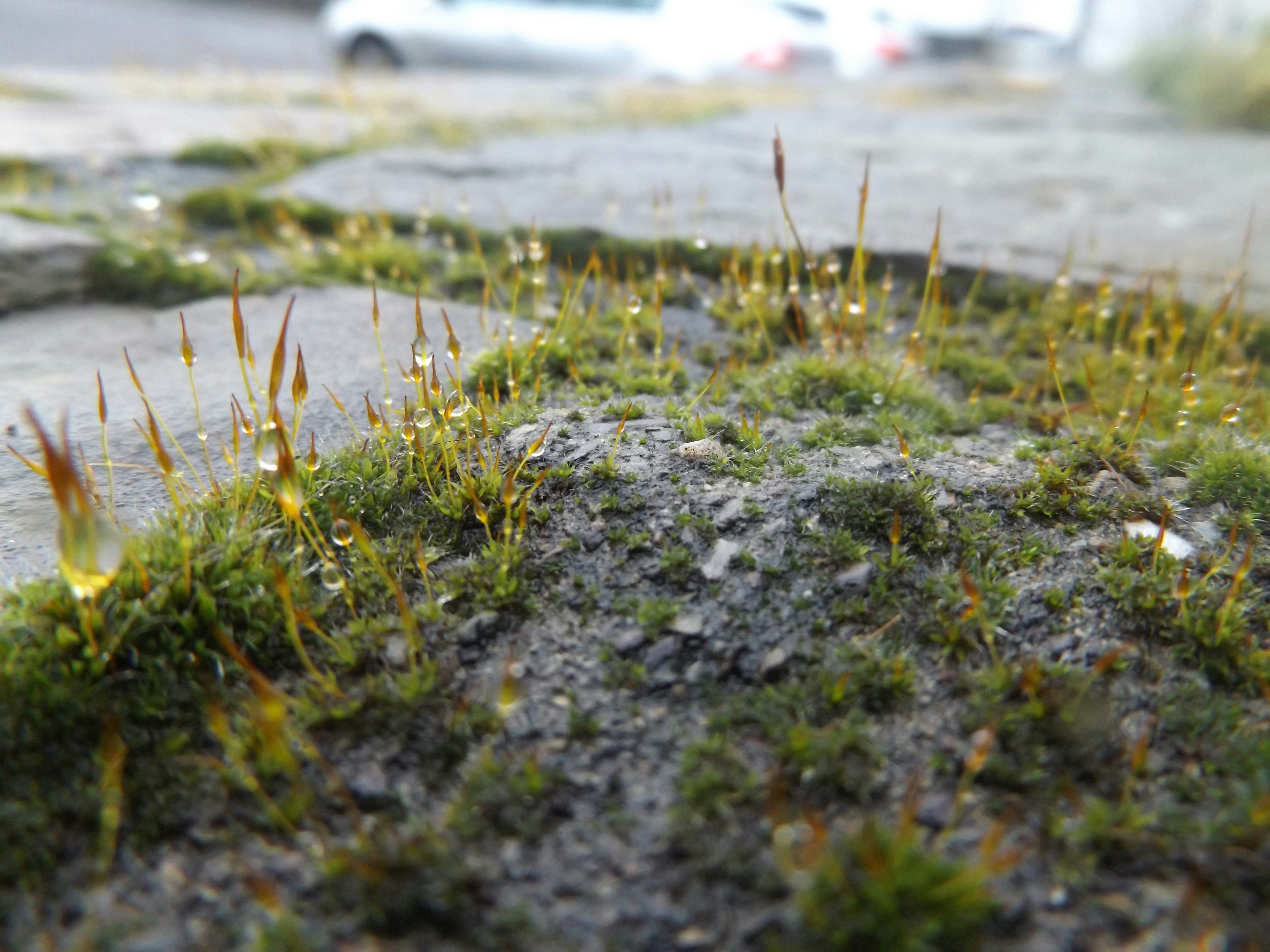 Free Unsplash photo from shannon Taylor