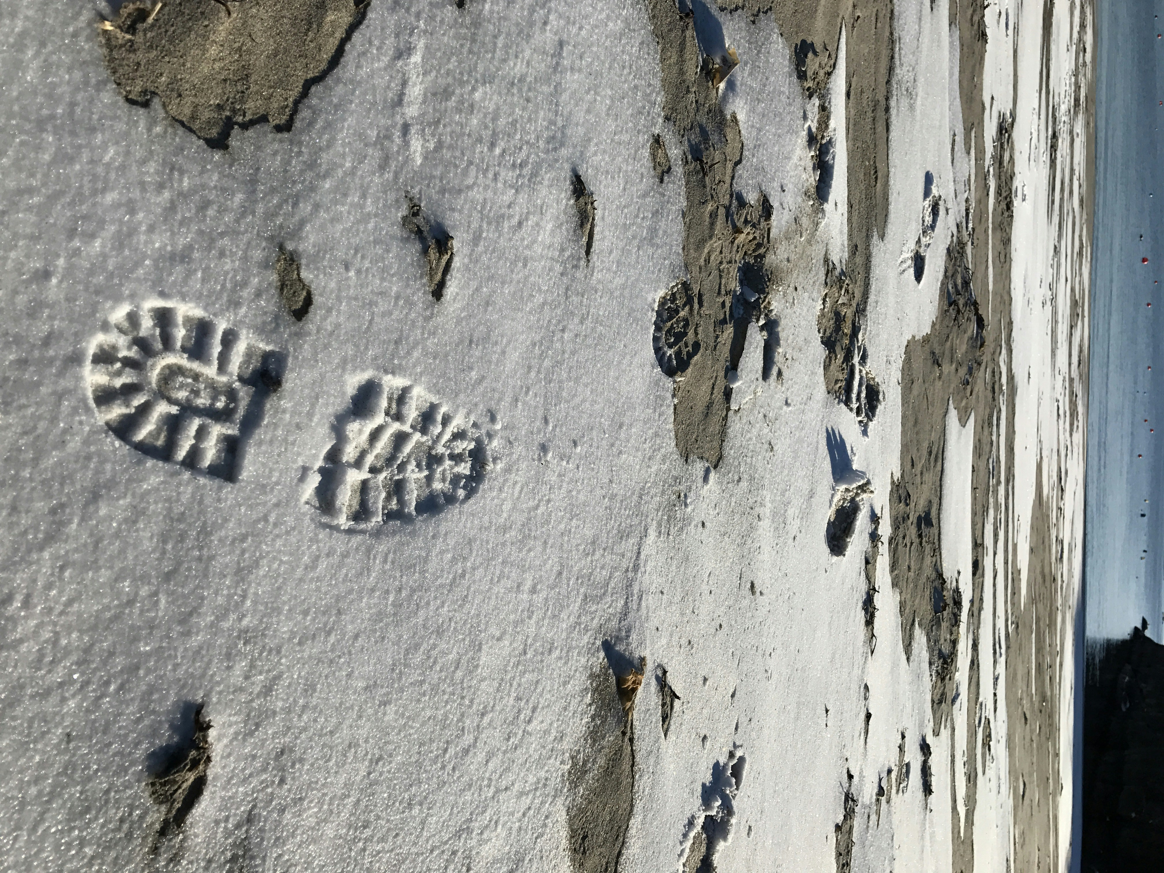 Free Unsplash photo from Marianne Tangen