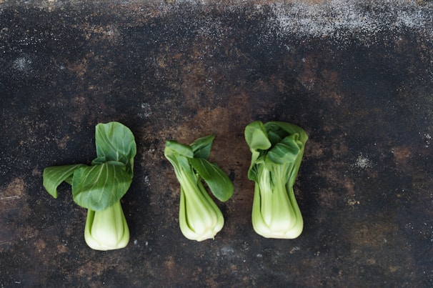 Fresh bok choy leaves glistening with morning dew in a farm field.