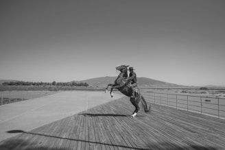 grayscale photo of man in jacket and pants riding horse