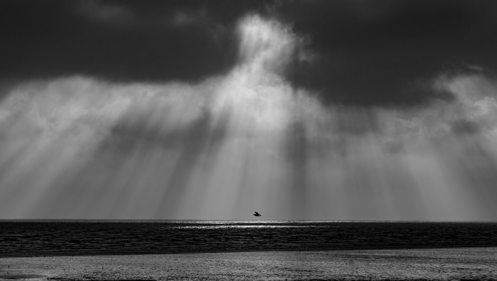 Fotografia di Graysclae di calmo specchio d'acqua