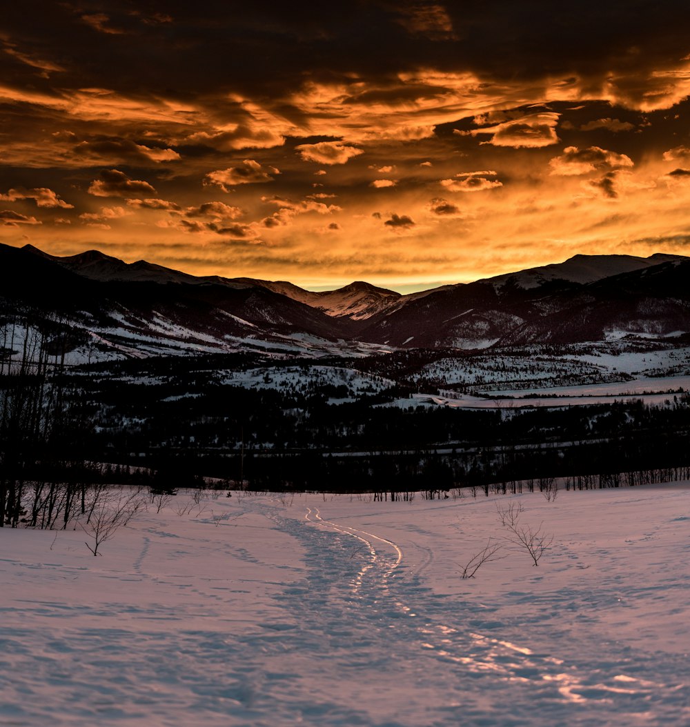 mountains near trees during golden hour