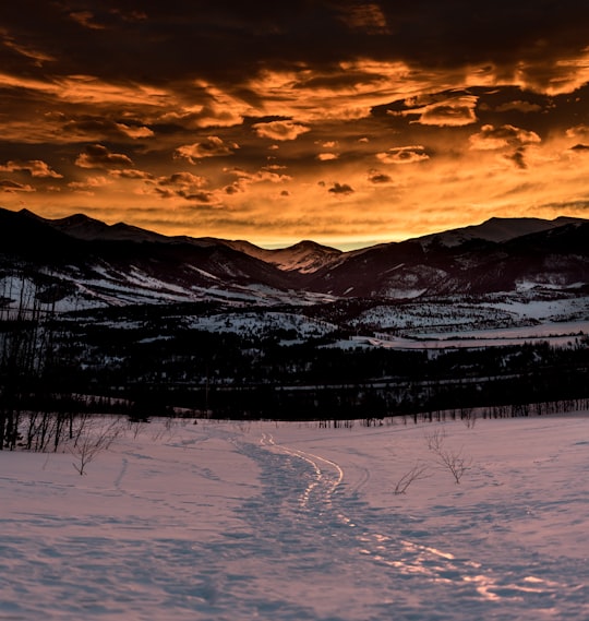 mountains near trees during golden hour in Silverthorne United States