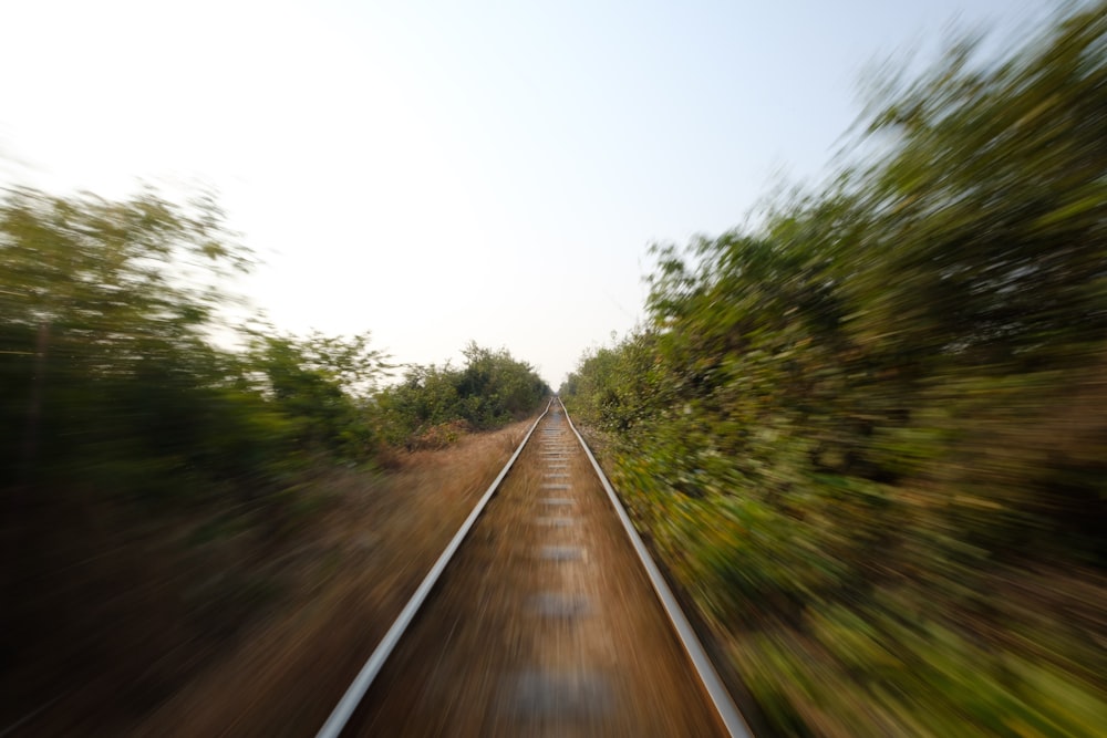 traintrail between foest