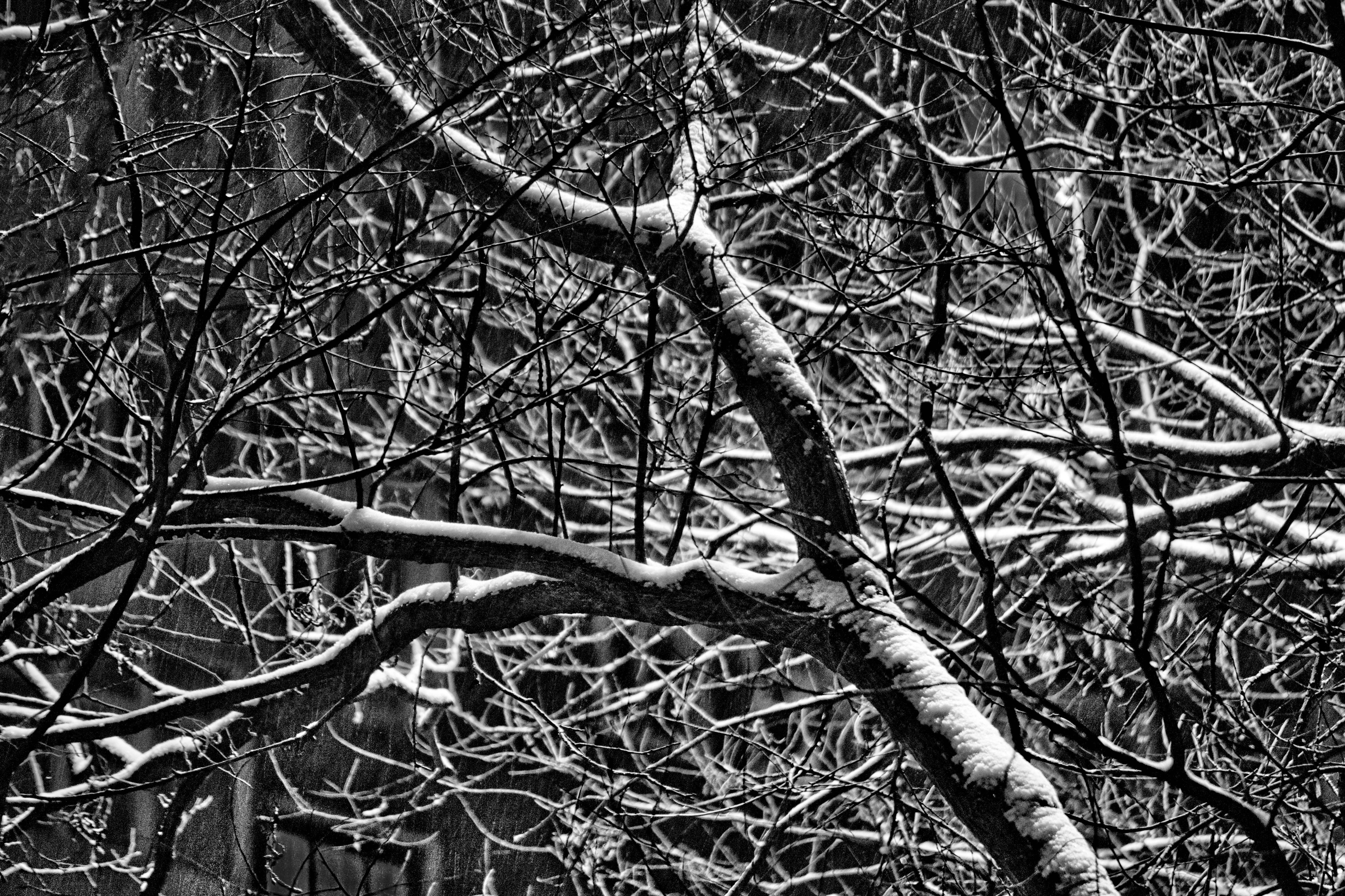 Free Unsplash photo from can shengli