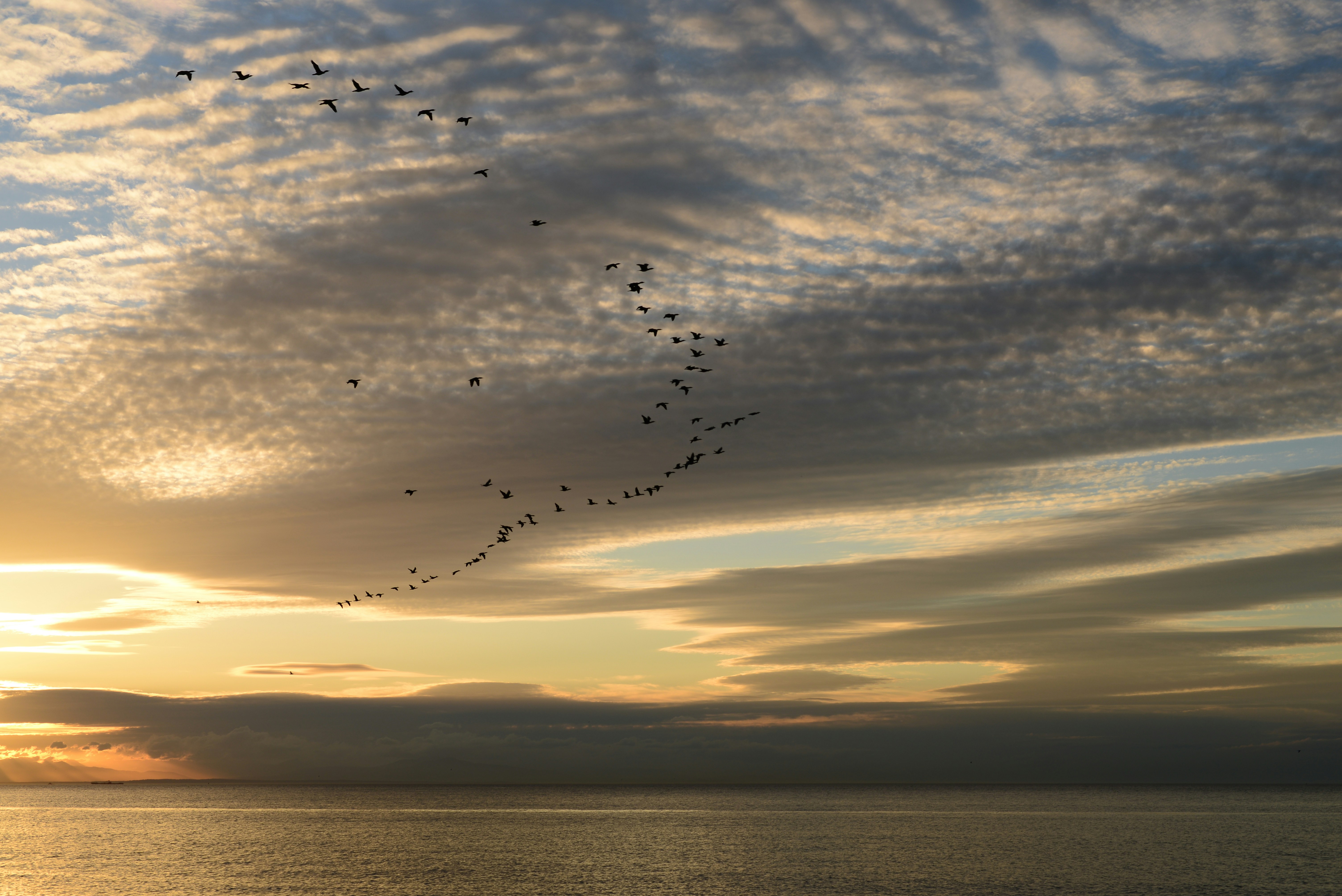 Free Unsplash photo from HyunKuk Kim