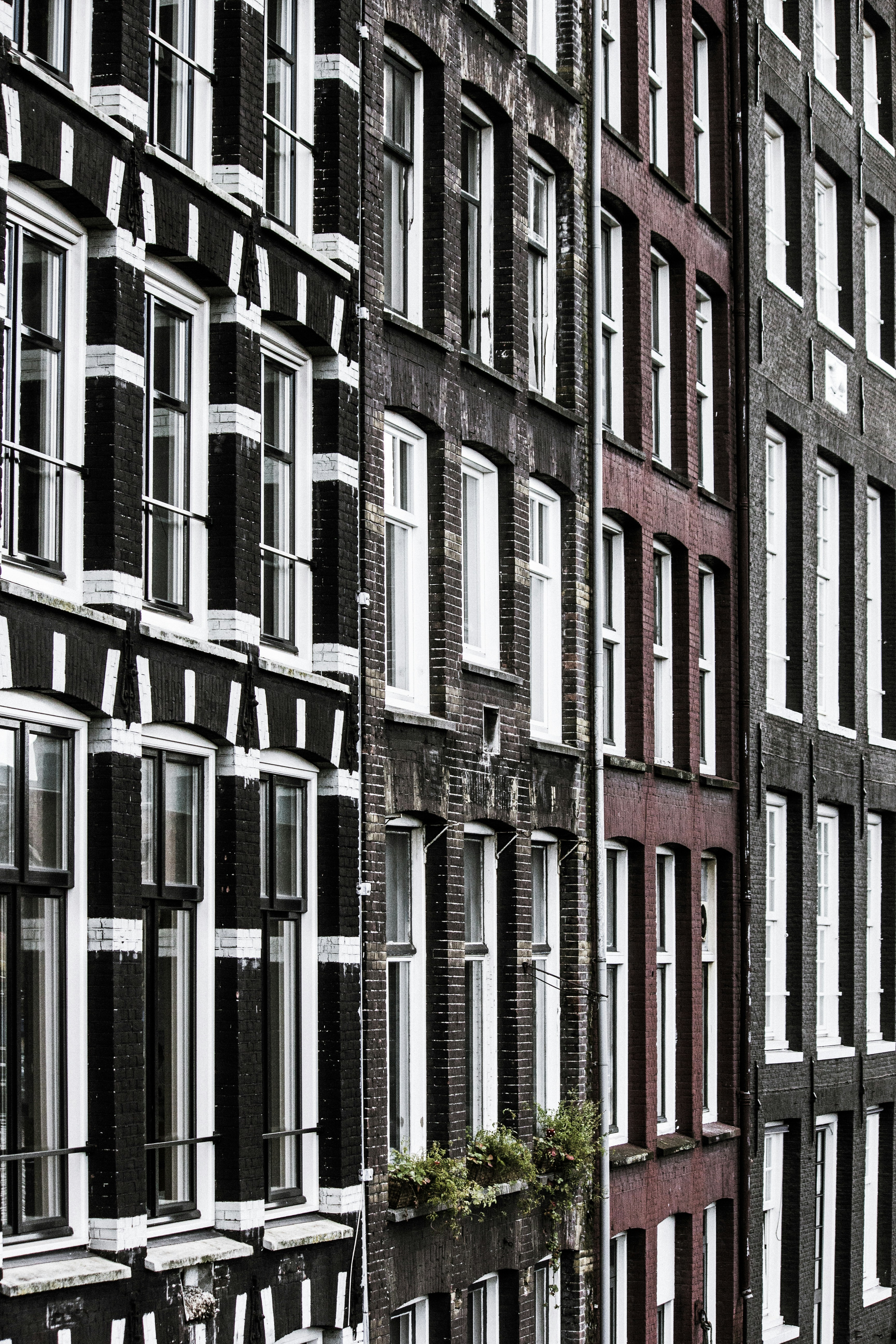 Free Unsplash photo from robbertdb