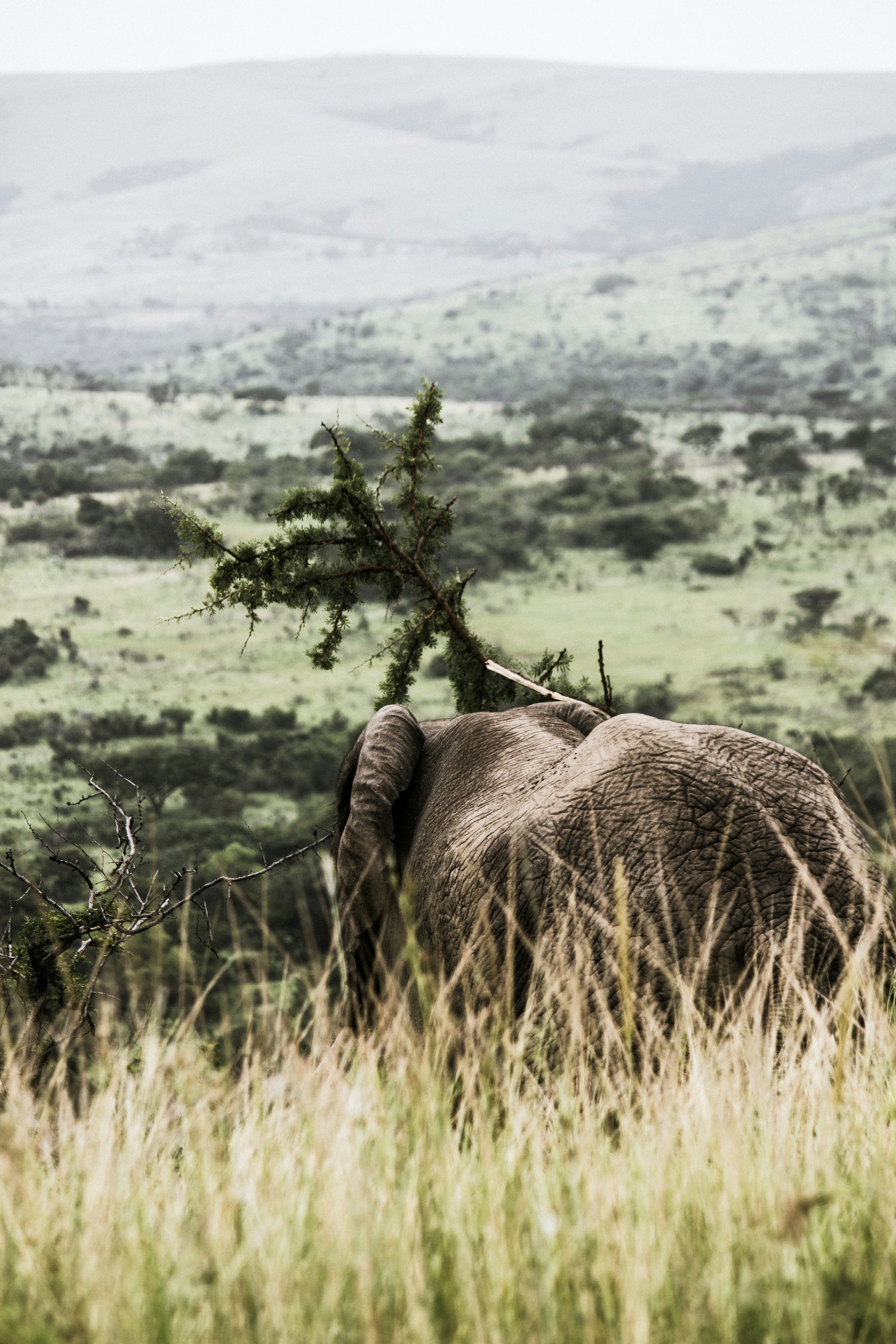 Free Unsplash photo from robbertdb