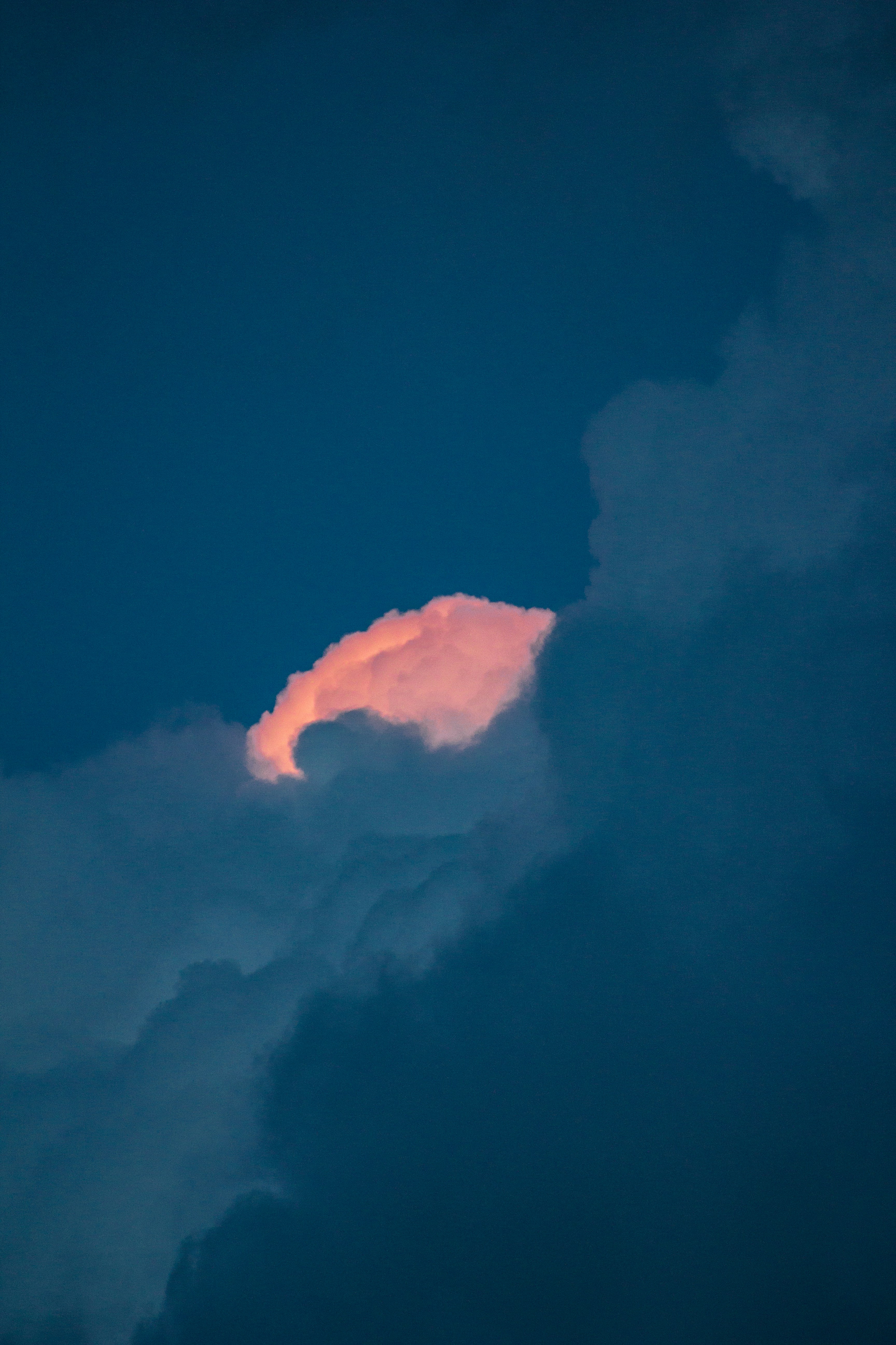 Free Unsplash photo from robbertdb