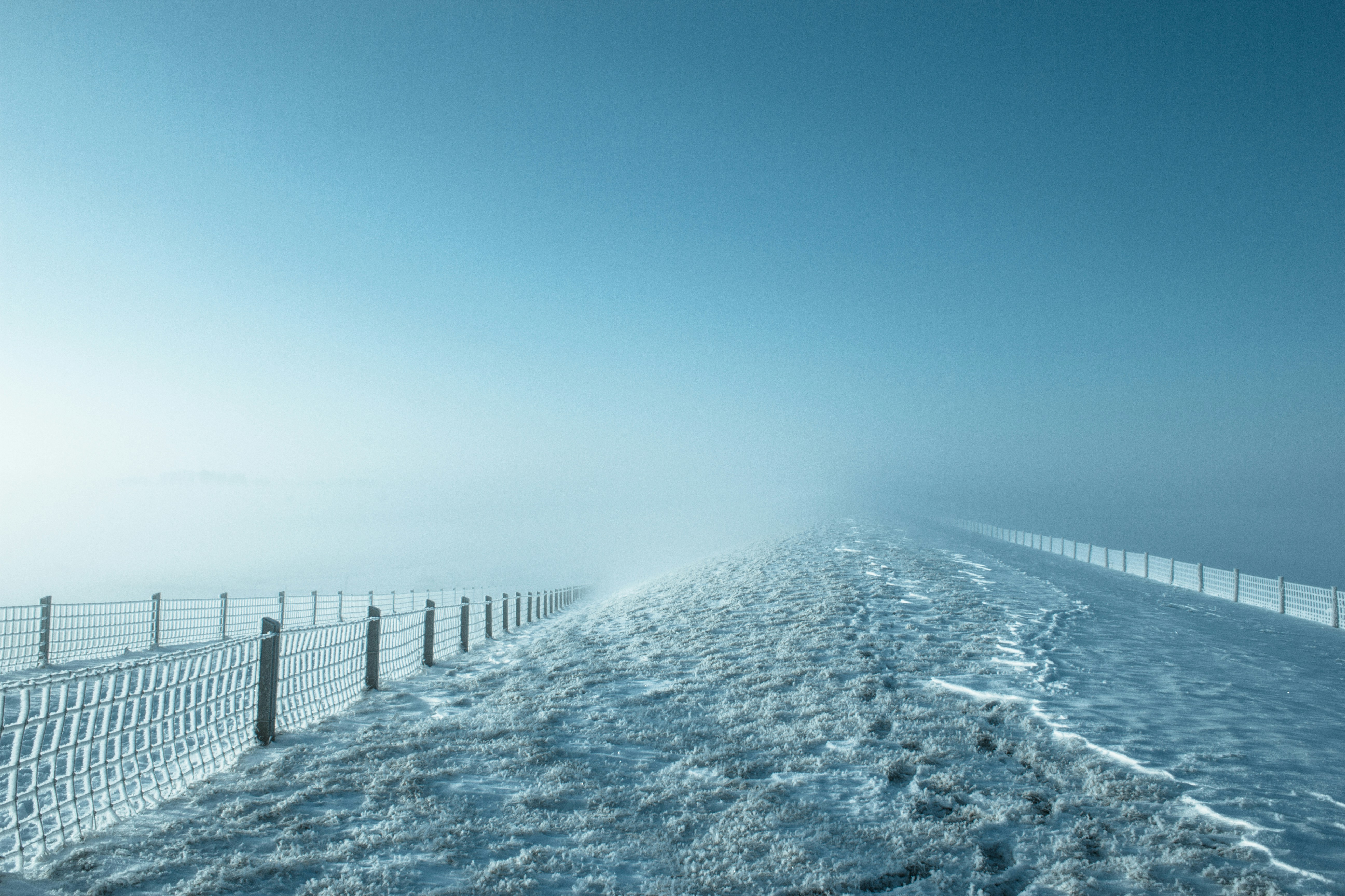 Free Unsplash photo from robbertdb