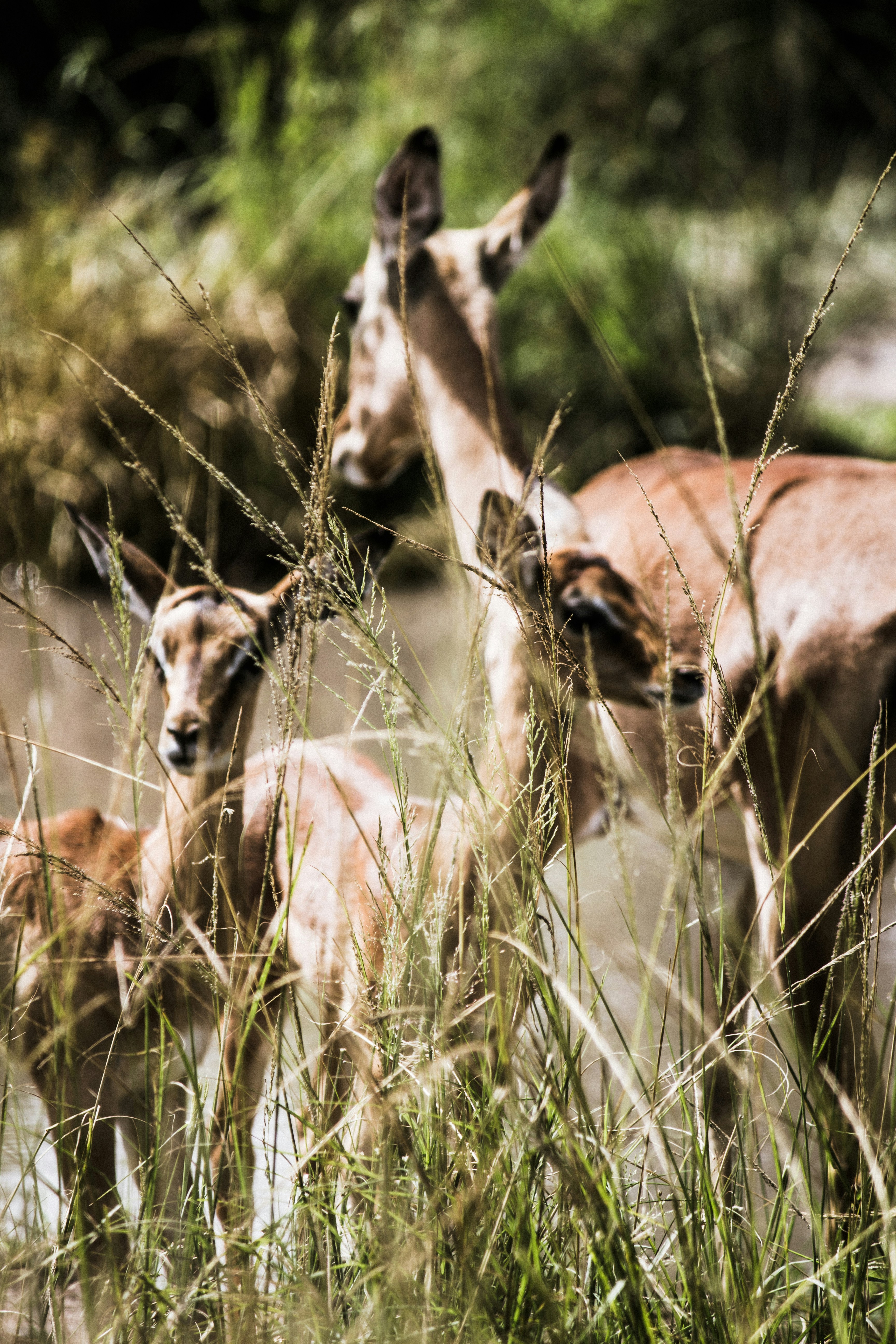 Free Unsplash photo from robbertdb