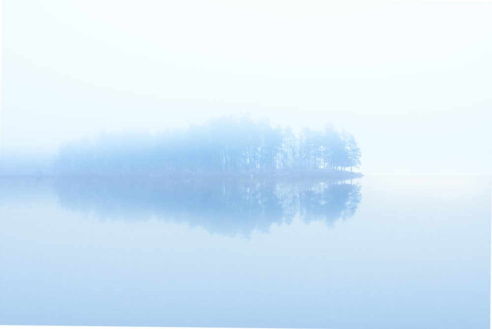 霧に囲まれた木々の間を横切る水域