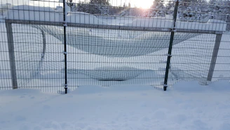 A serene early morning practice session with soft light reflecting off the ice