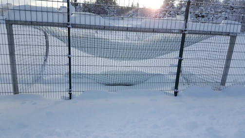 A serene early morning practice session with soft light reflecting off the ice