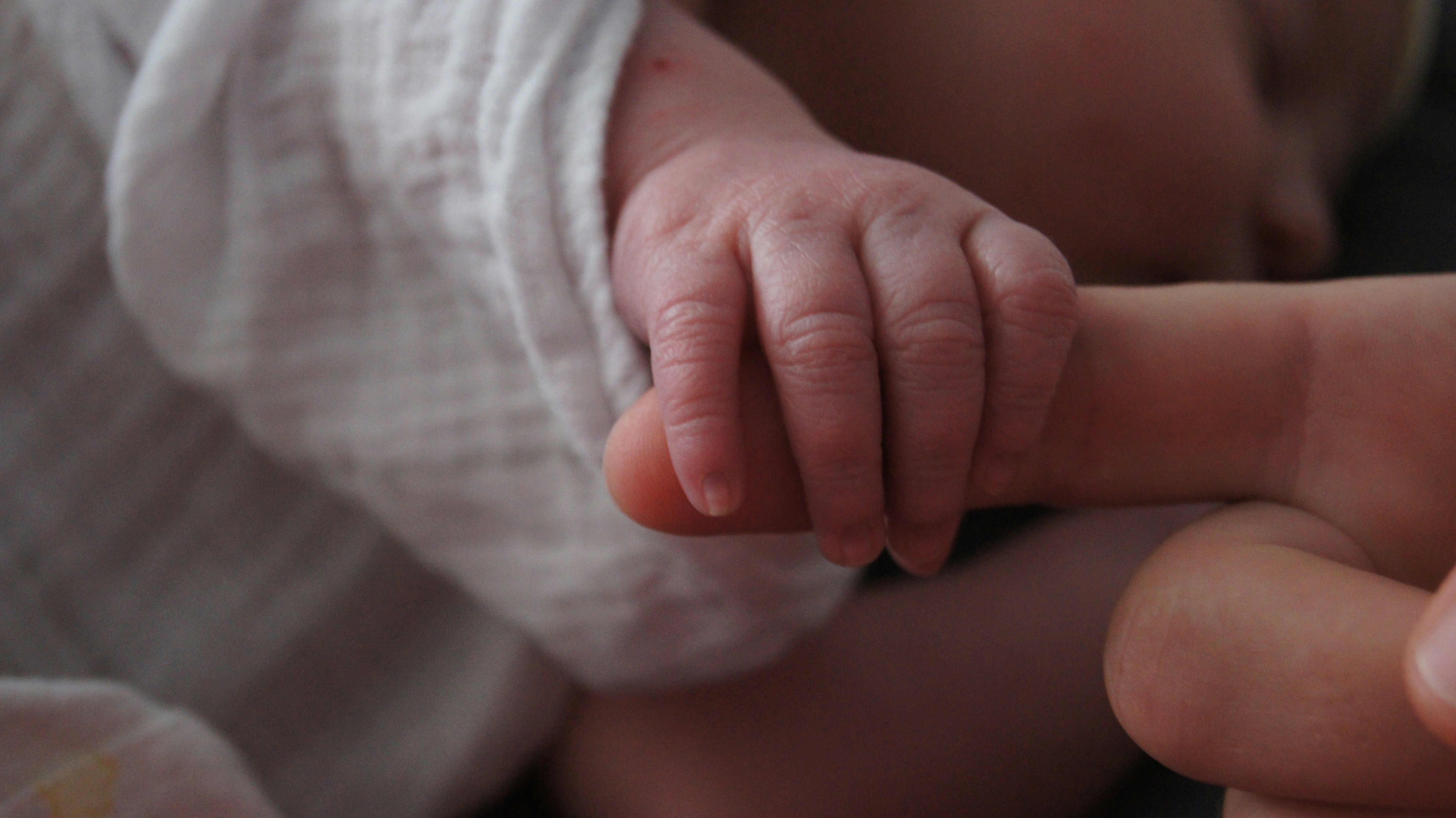 Free Unsplash photo from Jerry condon