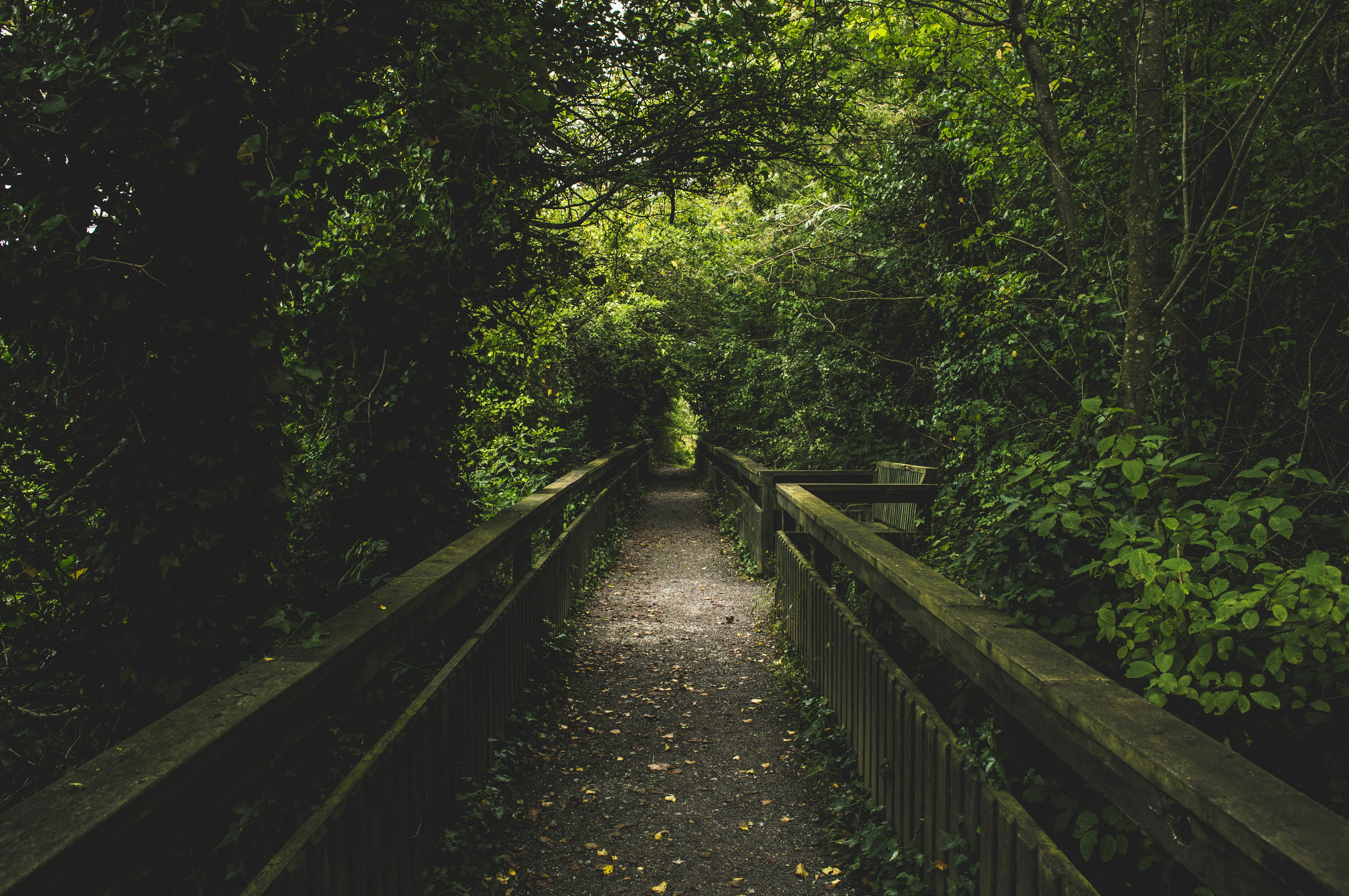 Free Unsplash photo from Jacek Malinowski