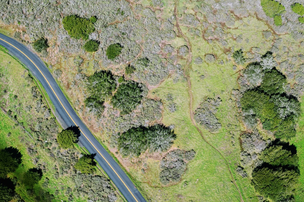 aerial view of grass field