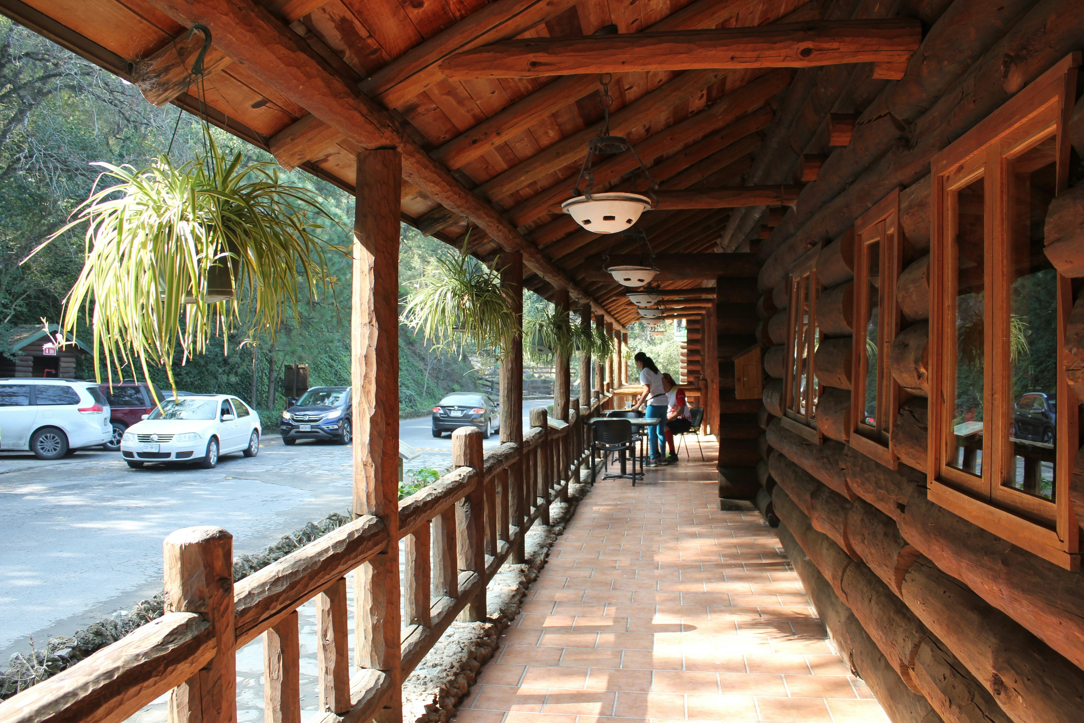 Free Unsplash photo from Beno Ramírez