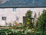 Before and after comparison of a slate roof restoration on a charming cottage.