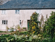 A charming cottage with a light-colored facade and dark, slate-tiled roof. Several windows are visible, and there is a door partly obscured by vegetation. A lush, well-maintained garden featuring various plants and climbers surrounds the cottage, with tall green foliage in the foreground.