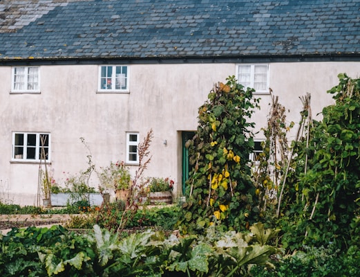 A charming cottage with a light-colored facade and dark, slate-tiled roof. Several windows are visible, and there is a door partly obscured by vegetation. A lush, well-maintained garden featuring various plants and climbers surrounds the cottage, with tall green foliage in the foreground.