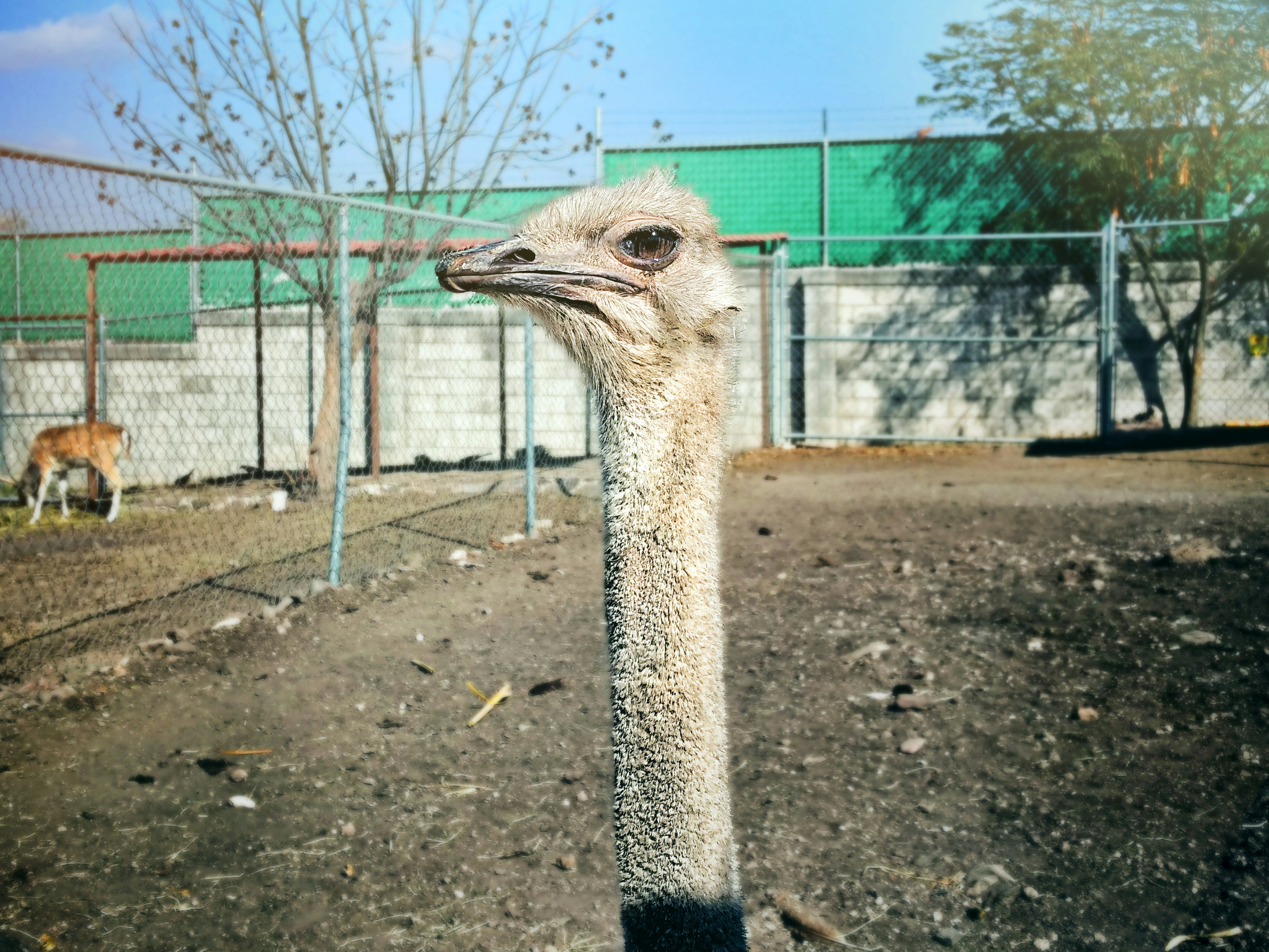 Free Unsplash photo from Mauricio Lopez Stone