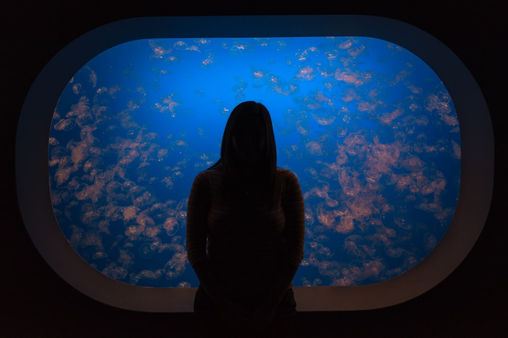 silhouette femme devant l’aquarium