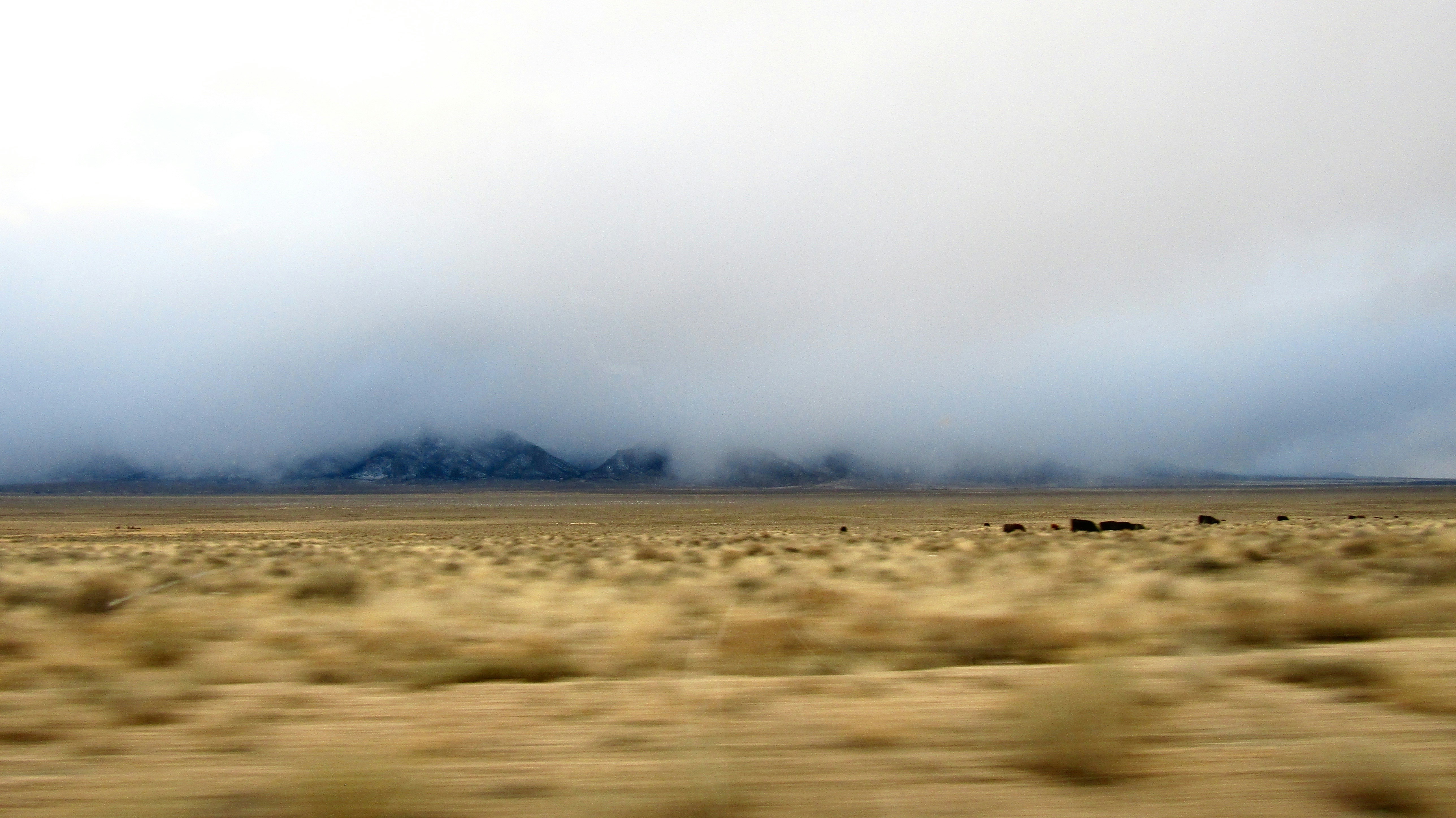 Free Unsplash photo from Liv Mertens