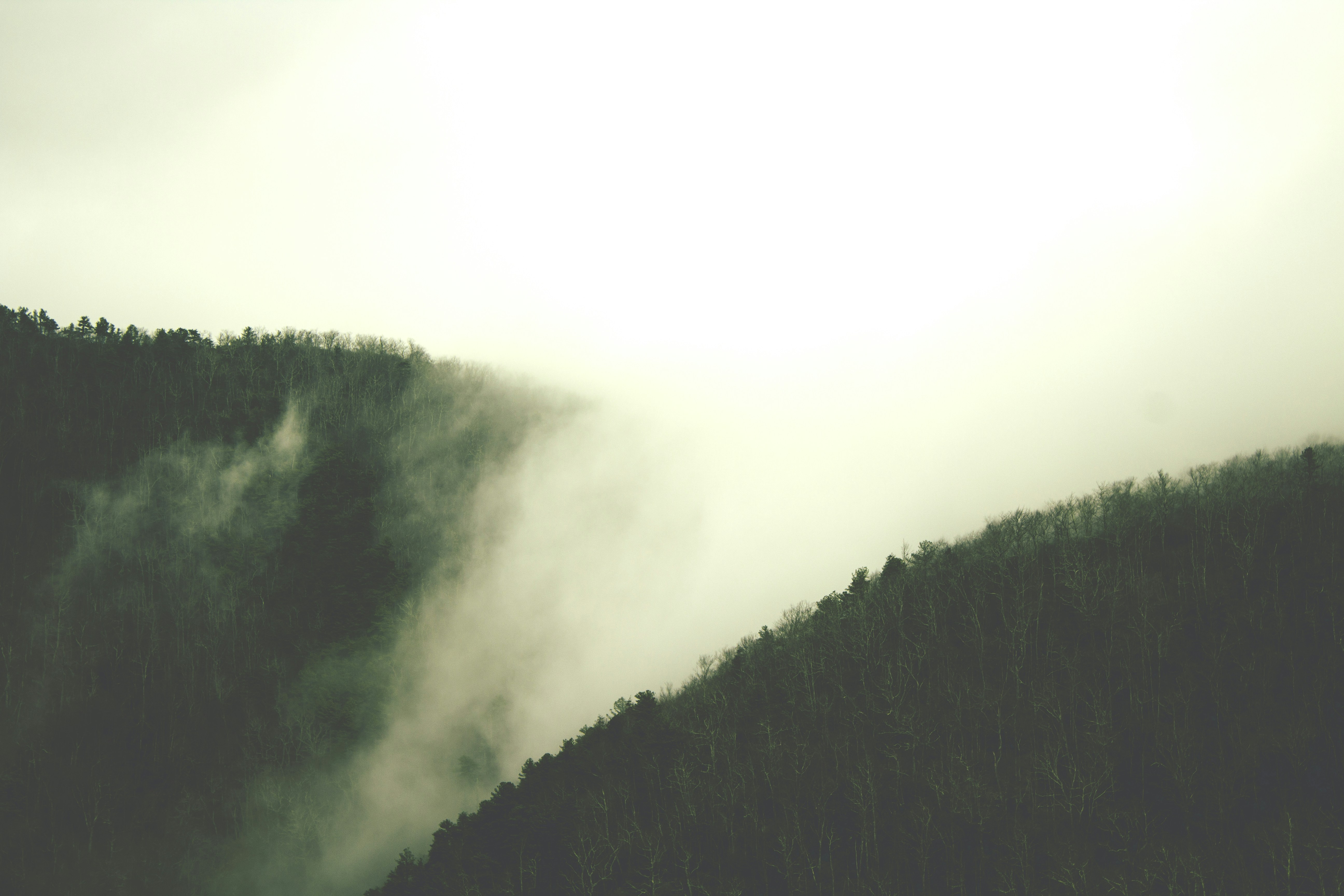 Free Unsplash photo from Joshua Rodriguez