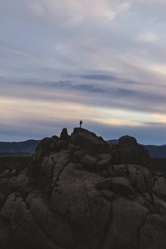 person standing on gray rock formation during daytime in Joshua Tree United States