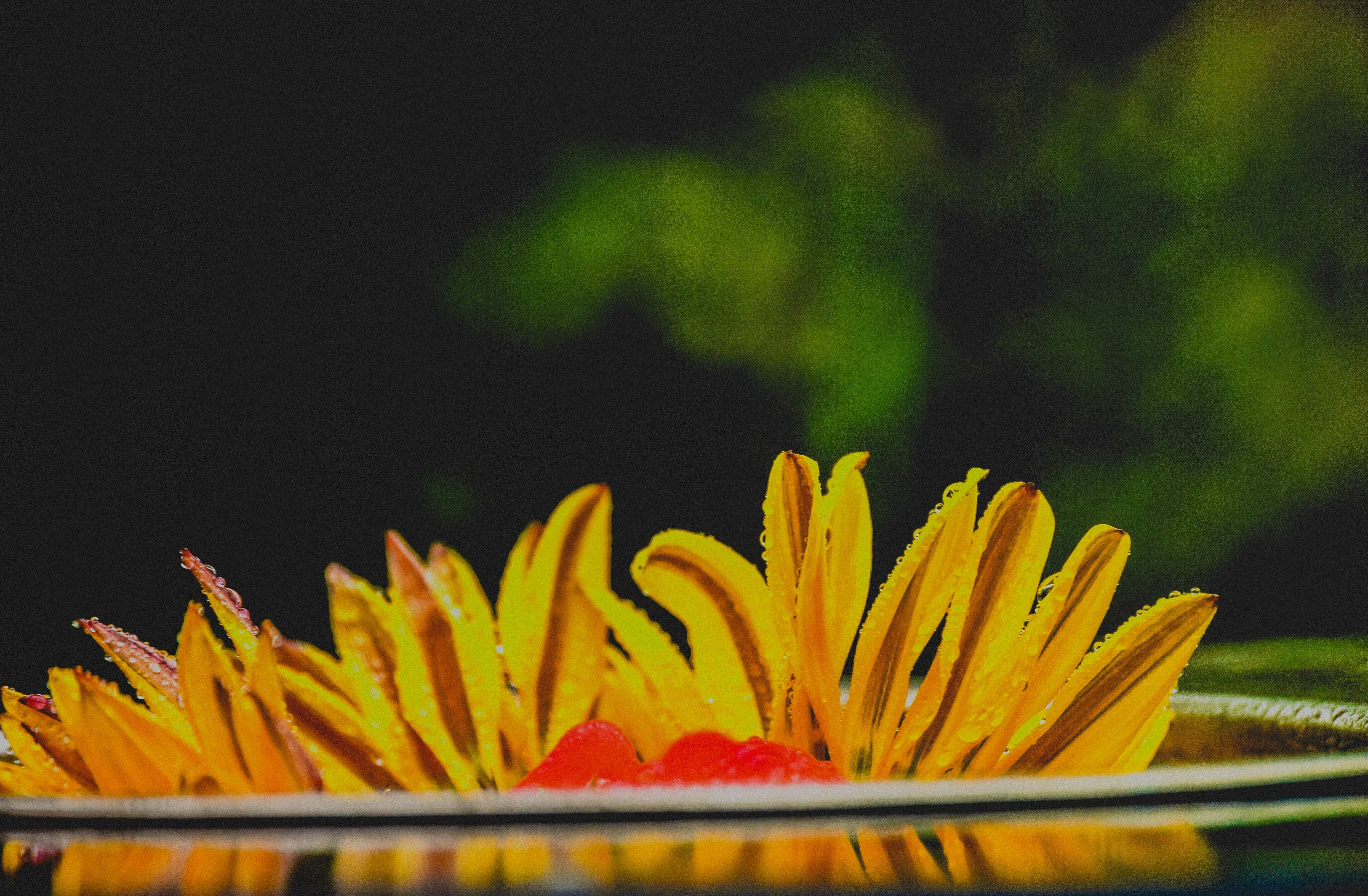 Free Unsplash photo from Saud Sarosh