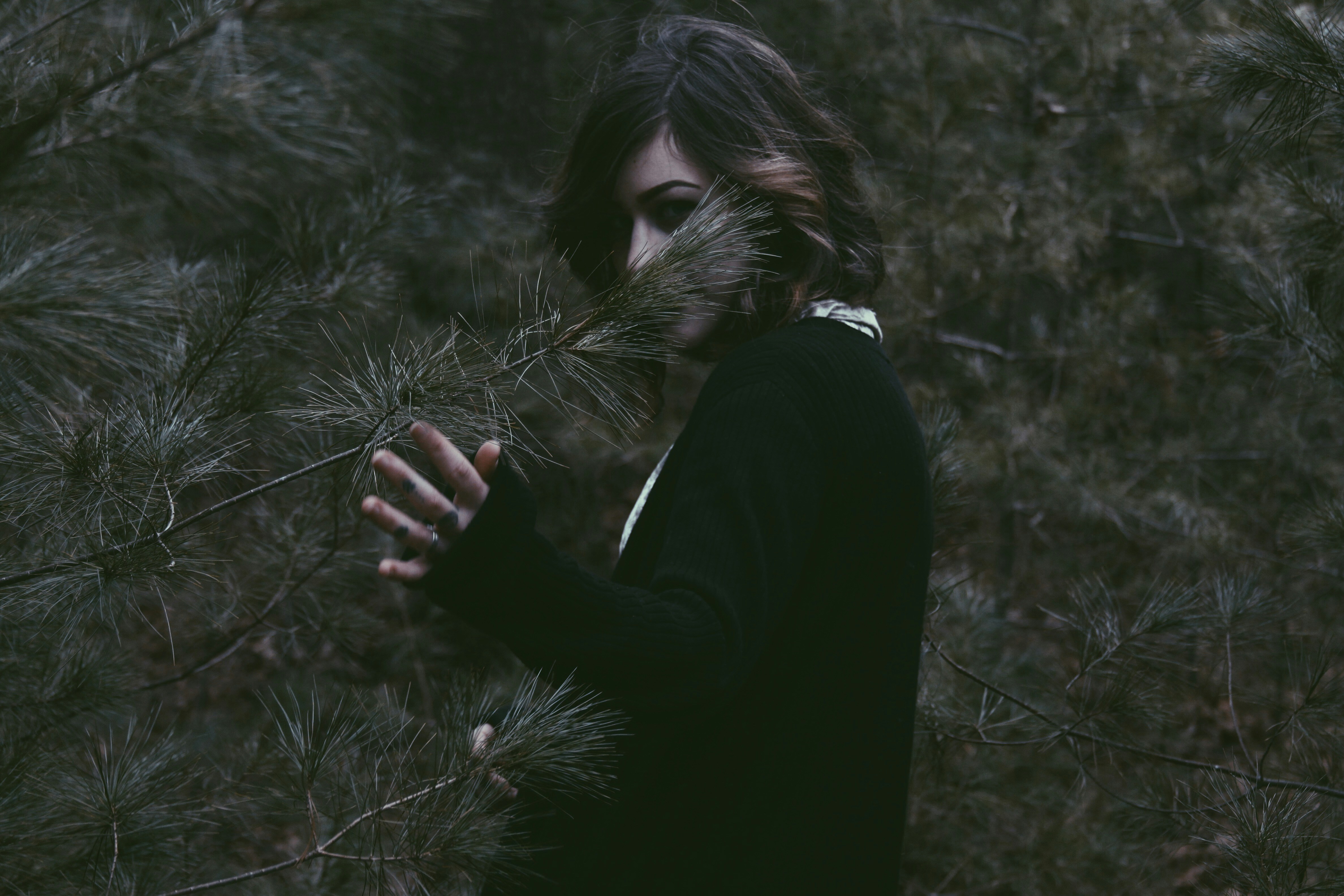 Free Unsplash photo from Timothy Paul Smith