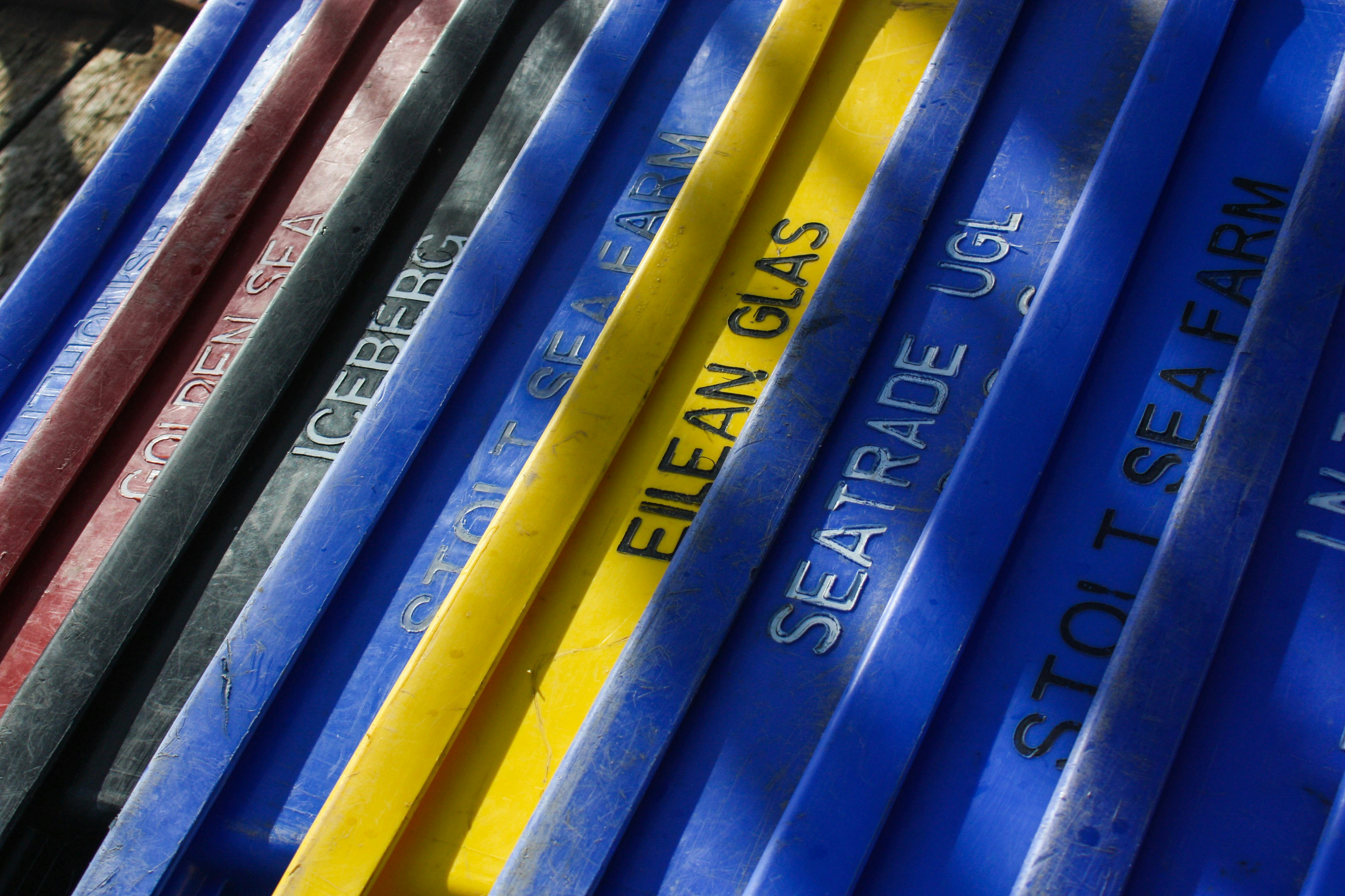 Free Unsplash photo from Pearse O'Halloran