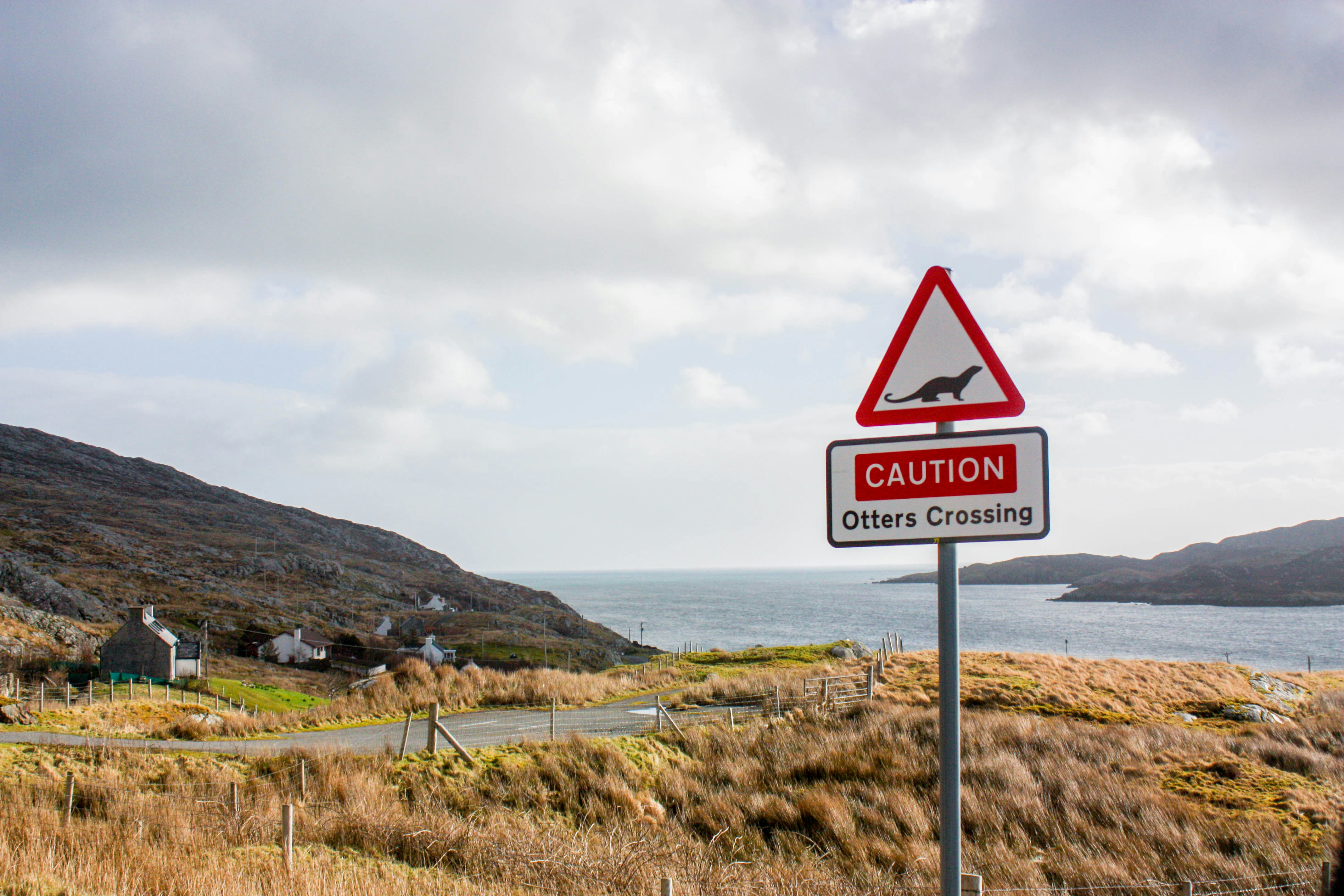 Free Unsplash photo from Pearse O'Halloran