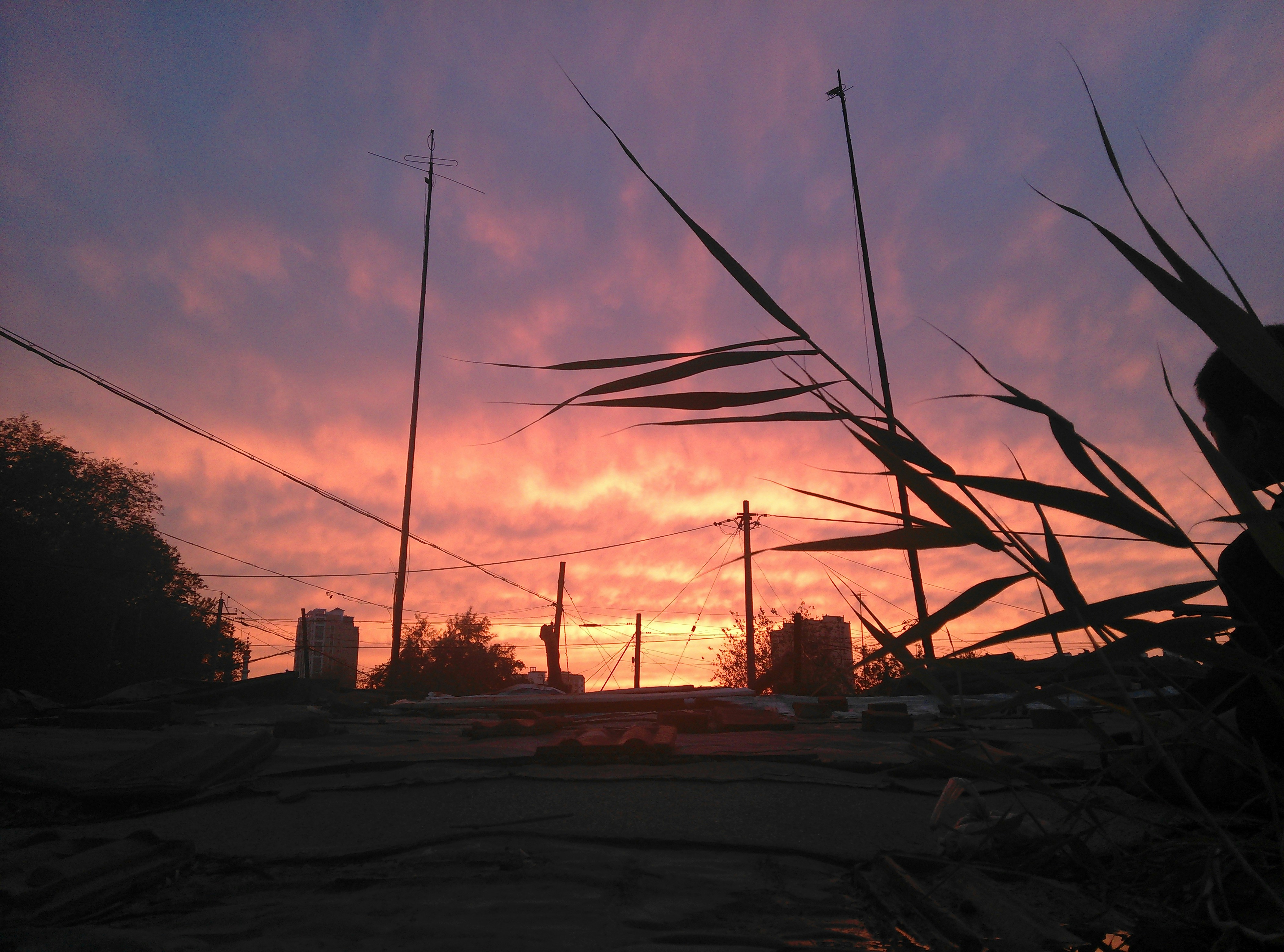 Free Unsplash photo from SU Qiankun