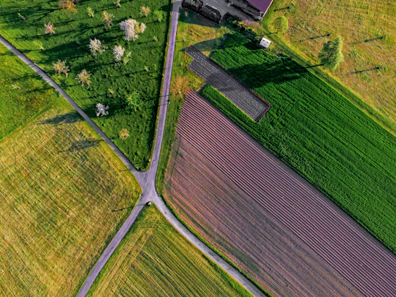 A vibrant aerial view of lush agricultural fields blending into a cozy residential neighborhood.