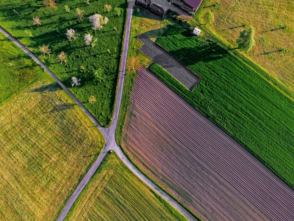 aerial view of plain and road