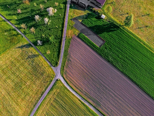 An aerial view of agricultural fields intersected by narrow roads, featuring patches of green grass, neatly aligned rows of crops, and trees scattered throughout the landscape. The orientation suggests a vibrant and well-maintained rural area.