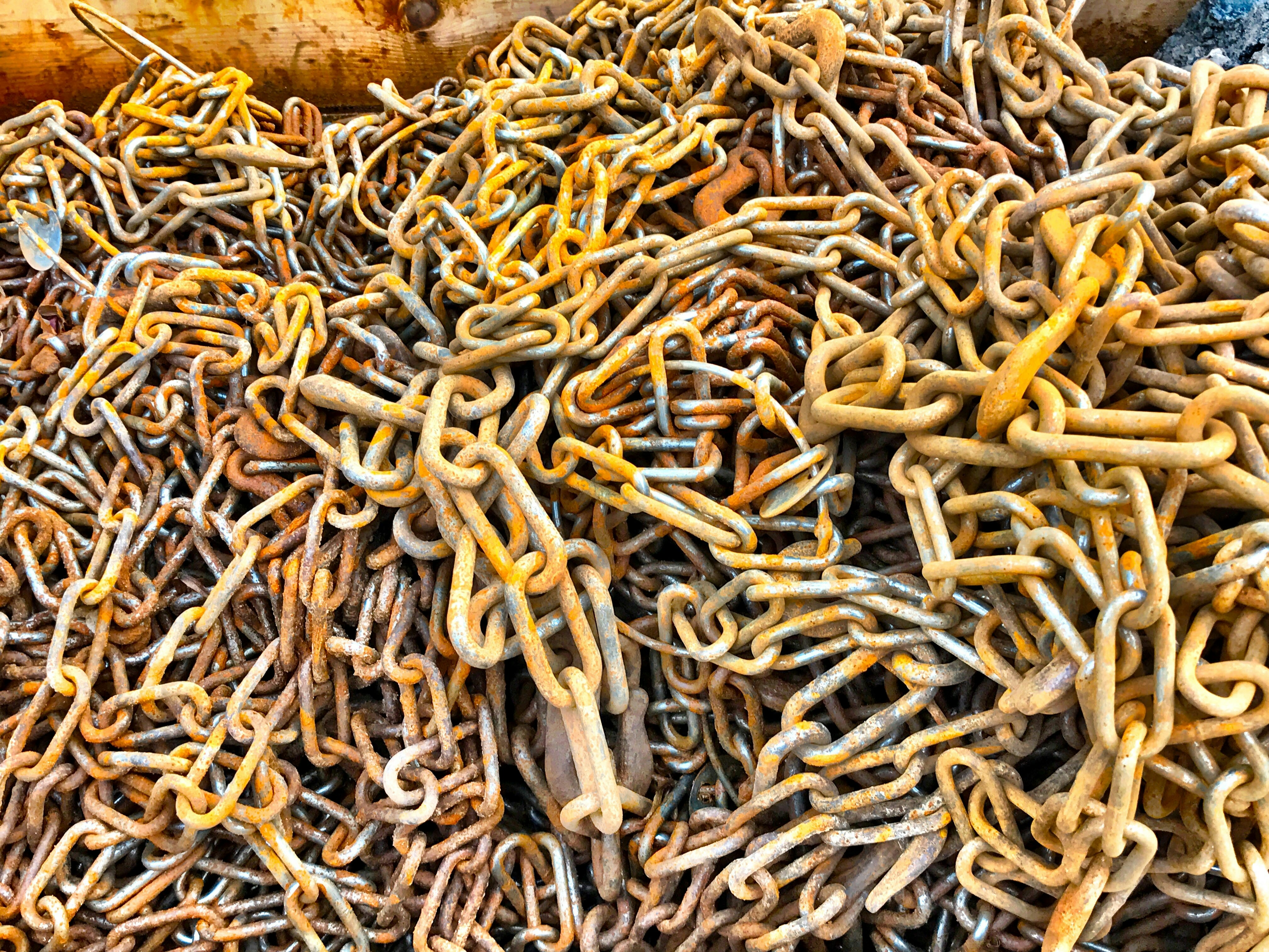 Free Unsplash photo from Vikram Kriplaney