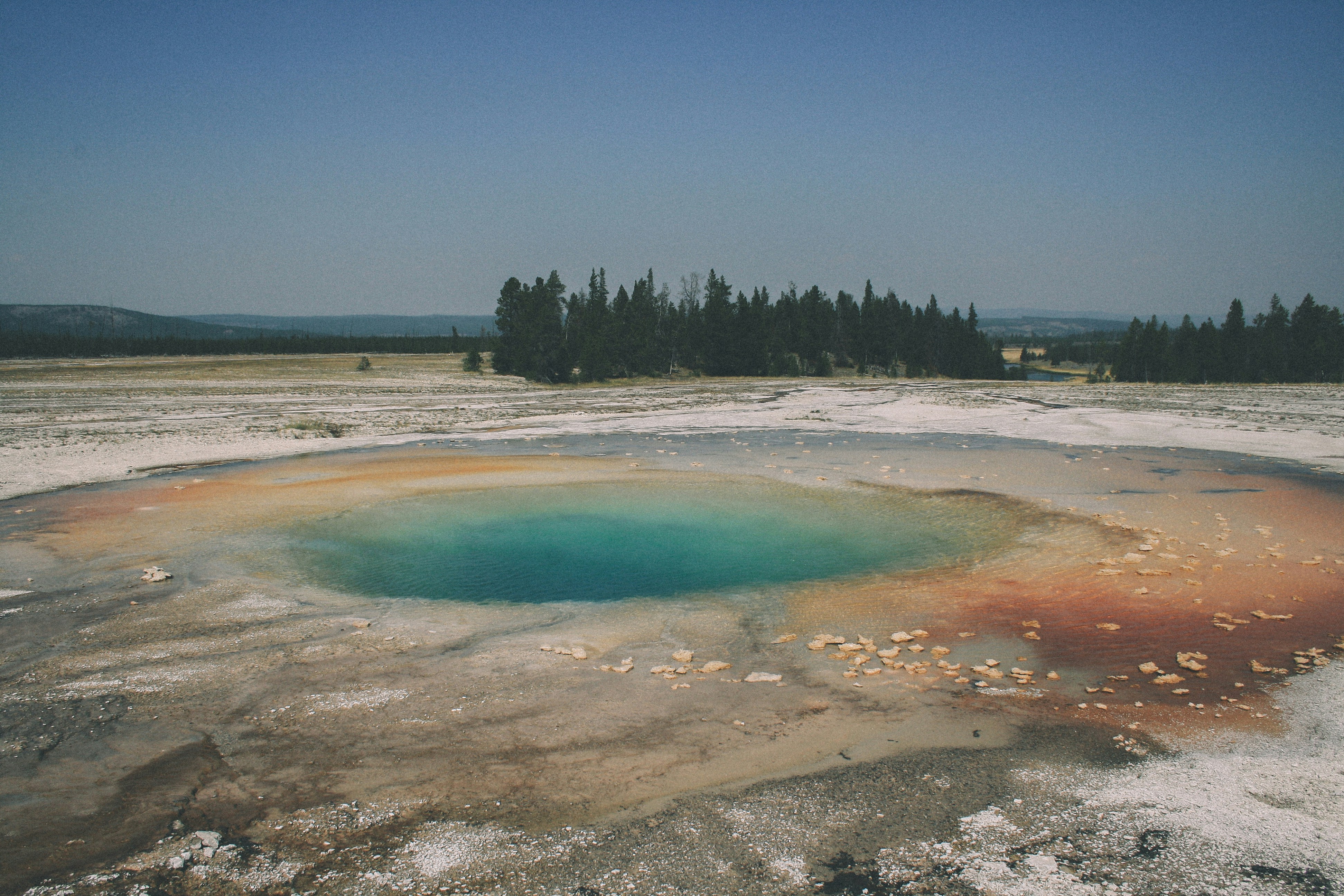 Free Unsplash photo from George Bonev