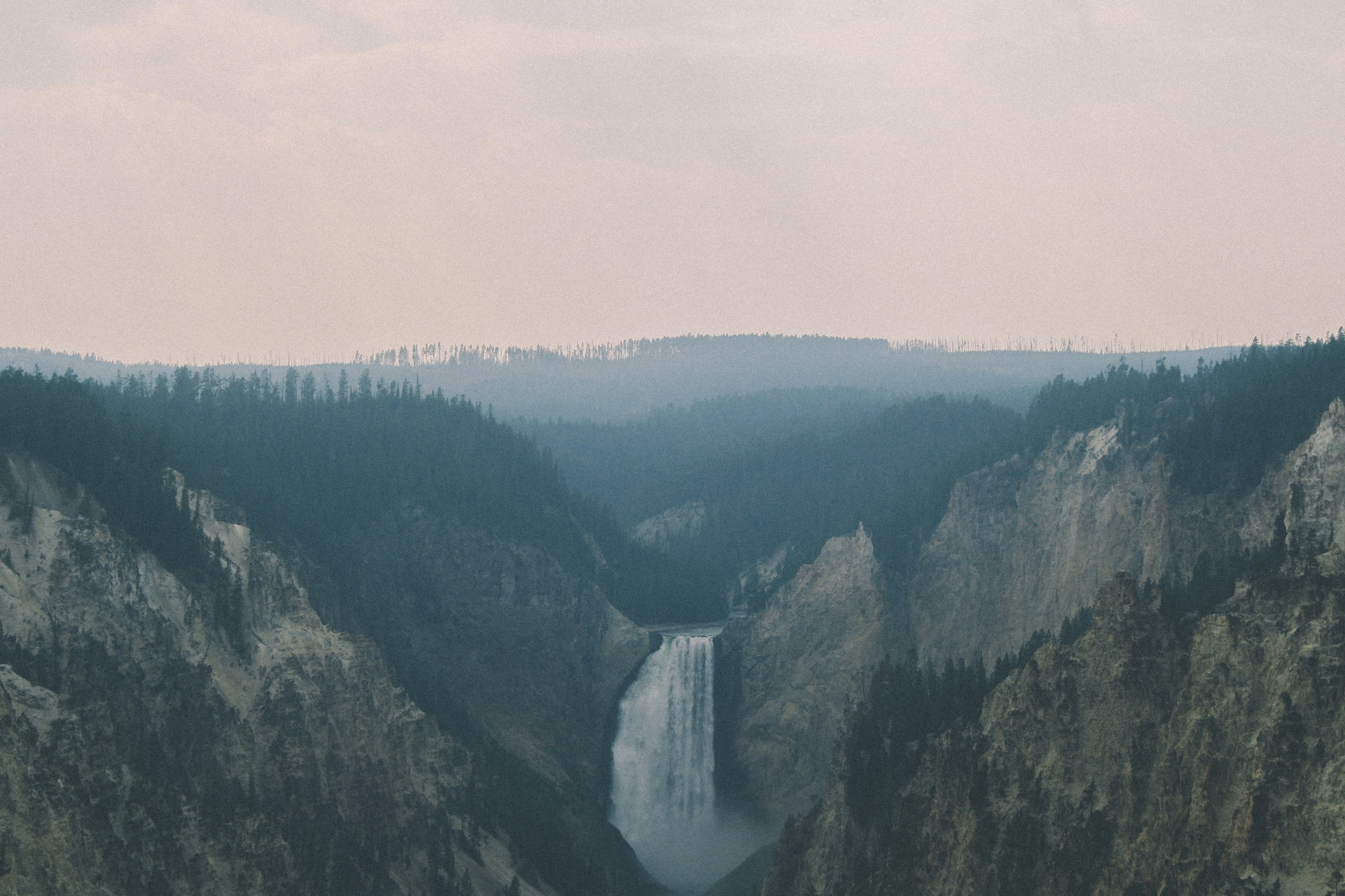 Free Unsplash photo from George Bonev