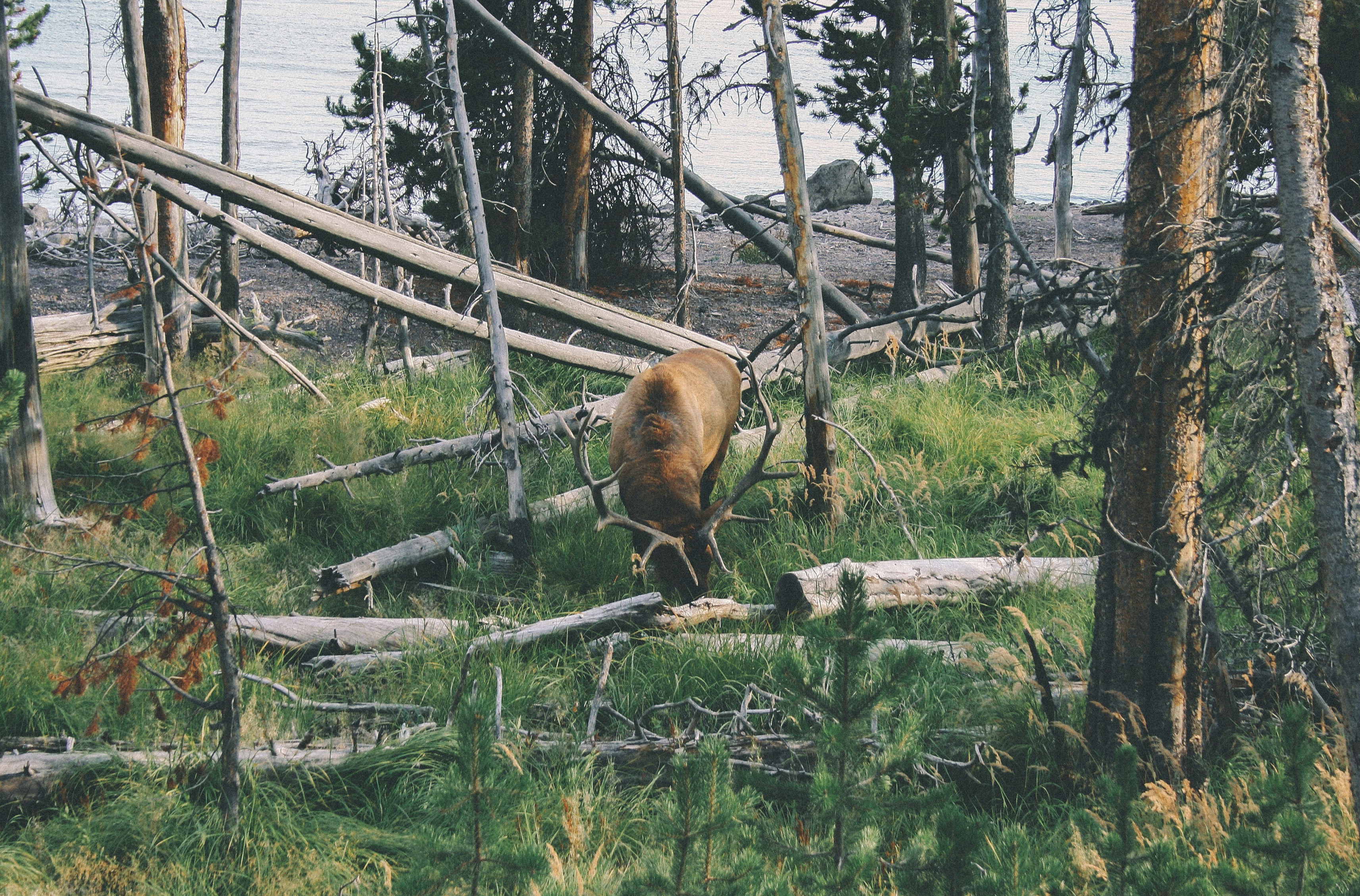 Free Unsplash photo from George Bonev