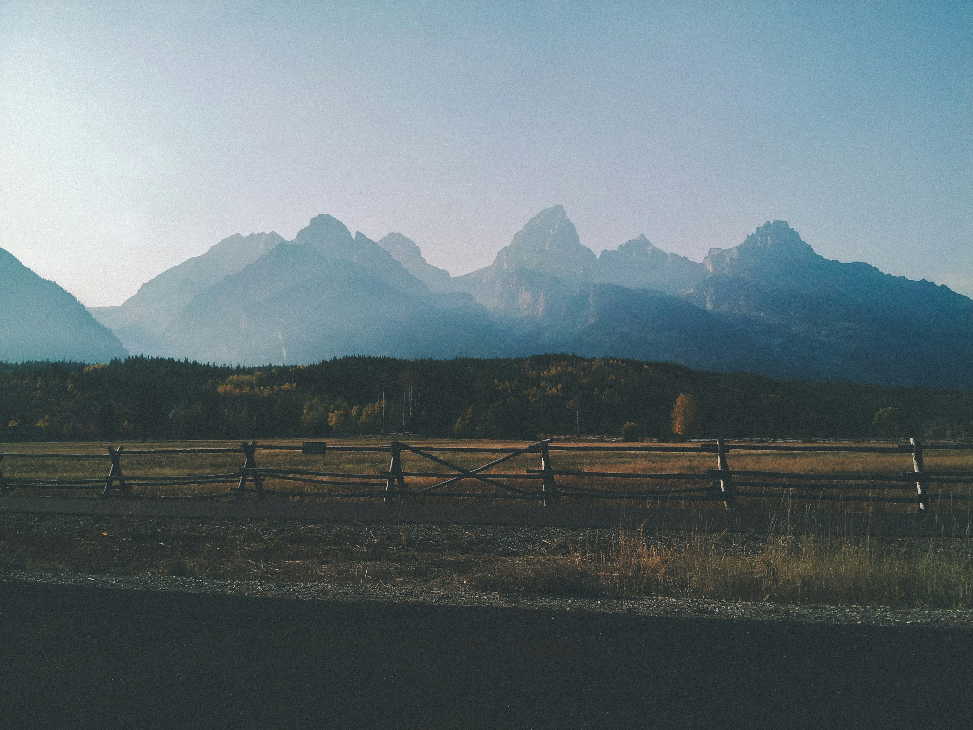 Free Unsplash photo from George Bonev