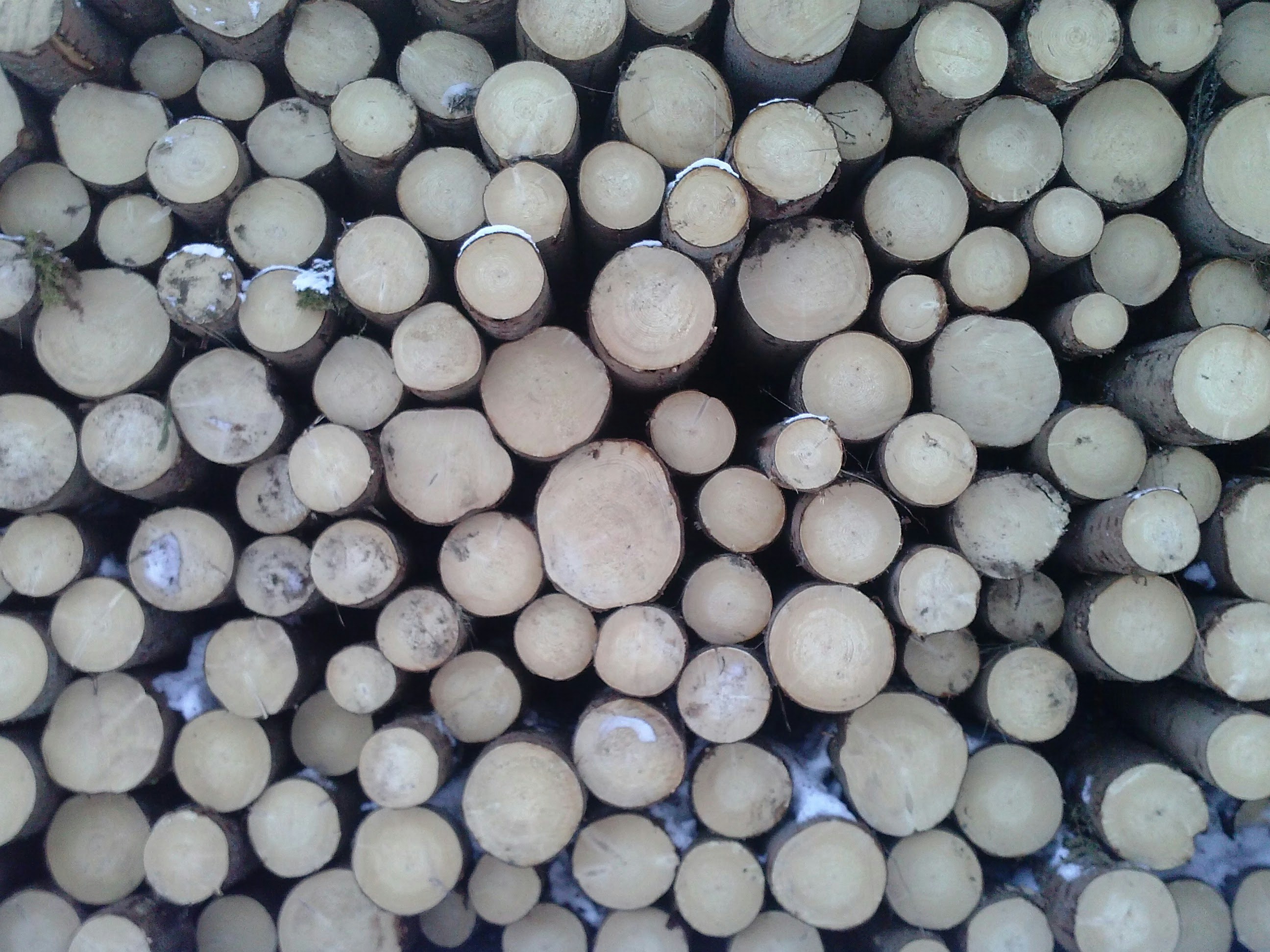 Free Unsplash photo from Ervin Lemark