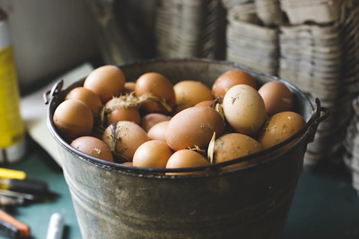 Fresh eggs packed in rustic trays ready for delivery.